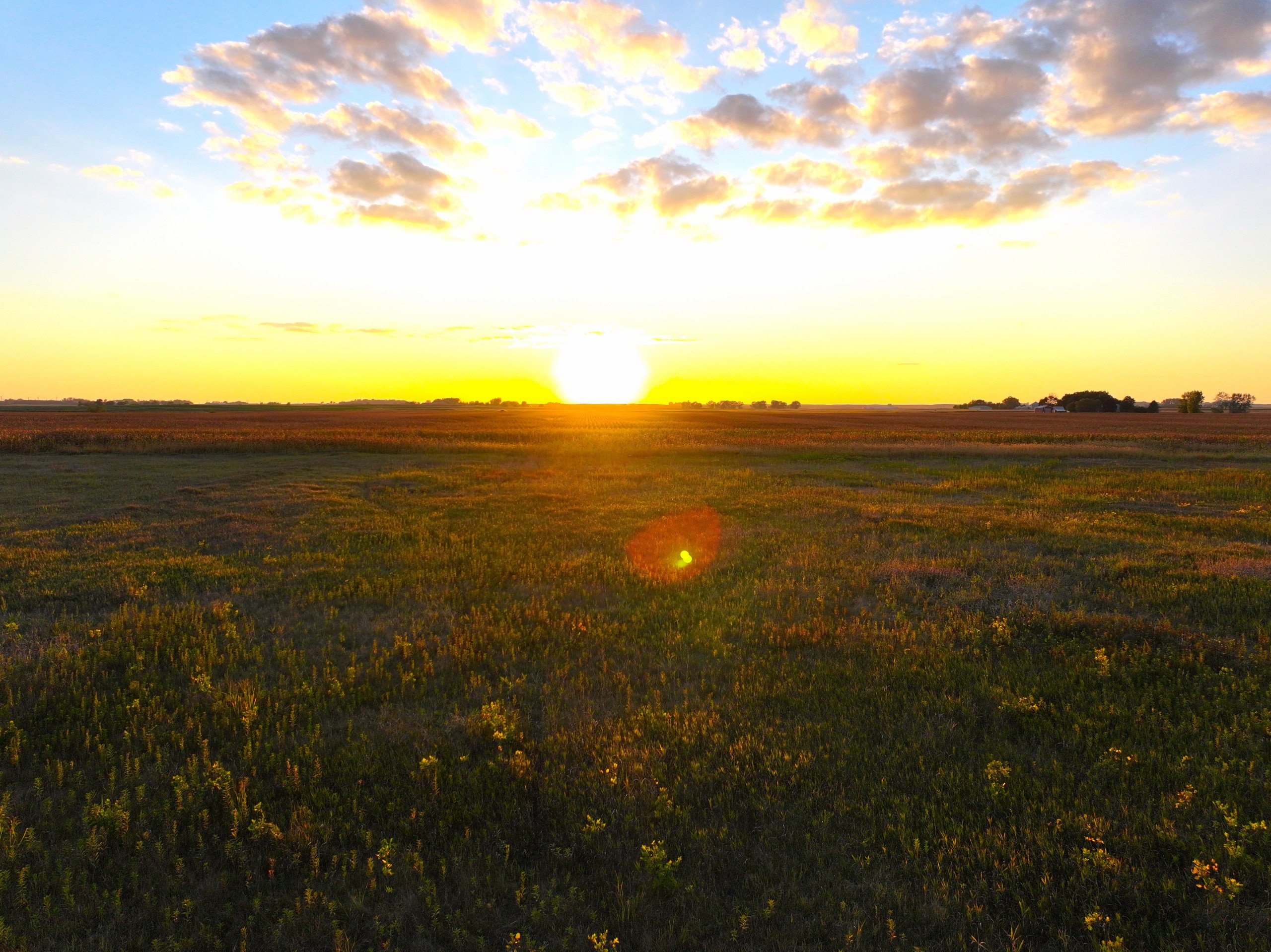 land-wright-county-iowa-361-acres-listing-number-16995-DJI_20230917191820_0111_D-1-3.jpg