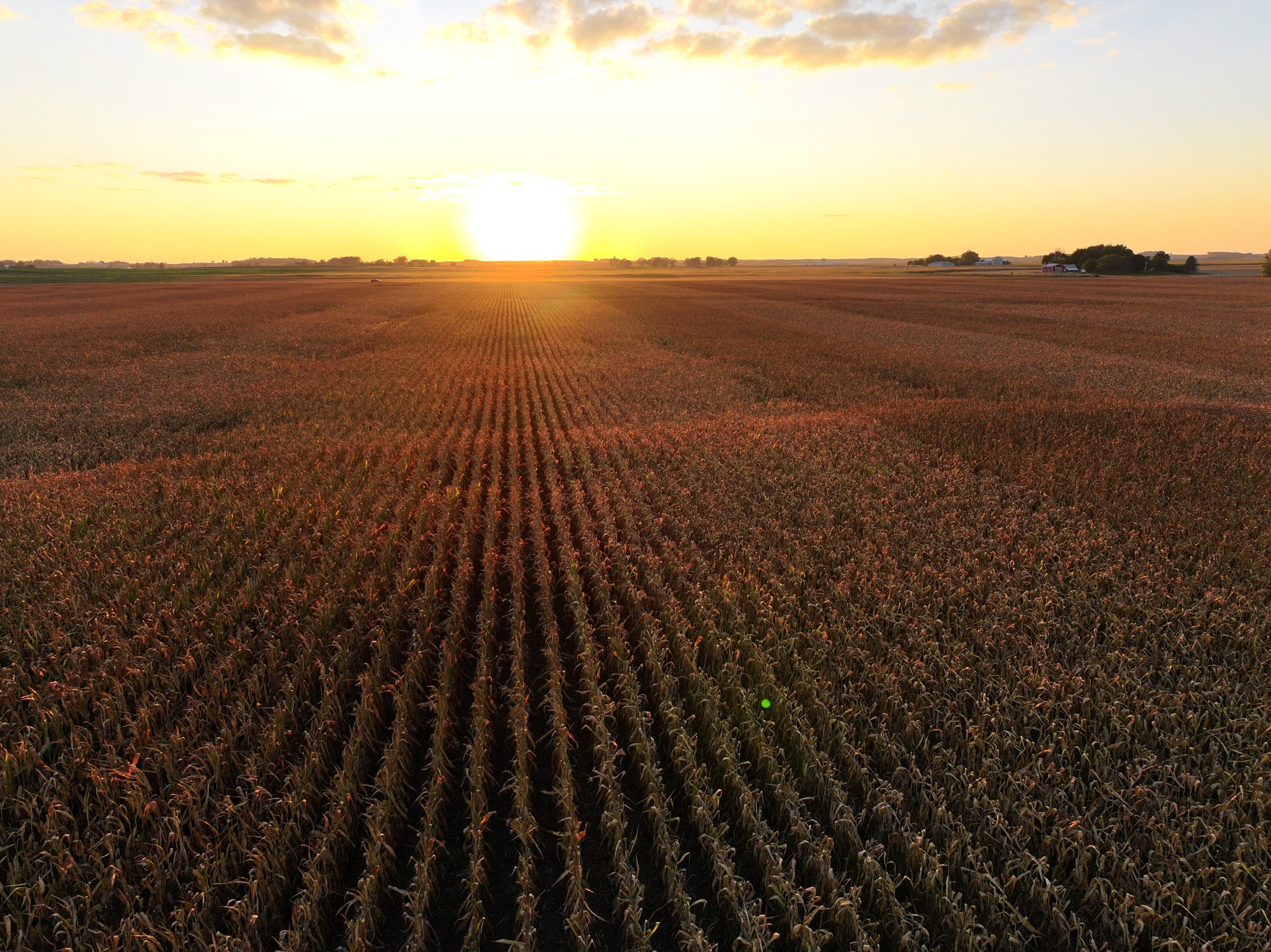 land-wright-county-iowa-361-acres-listing-number-16995-DJI_20230917191842_0114_D-1-1.jpg