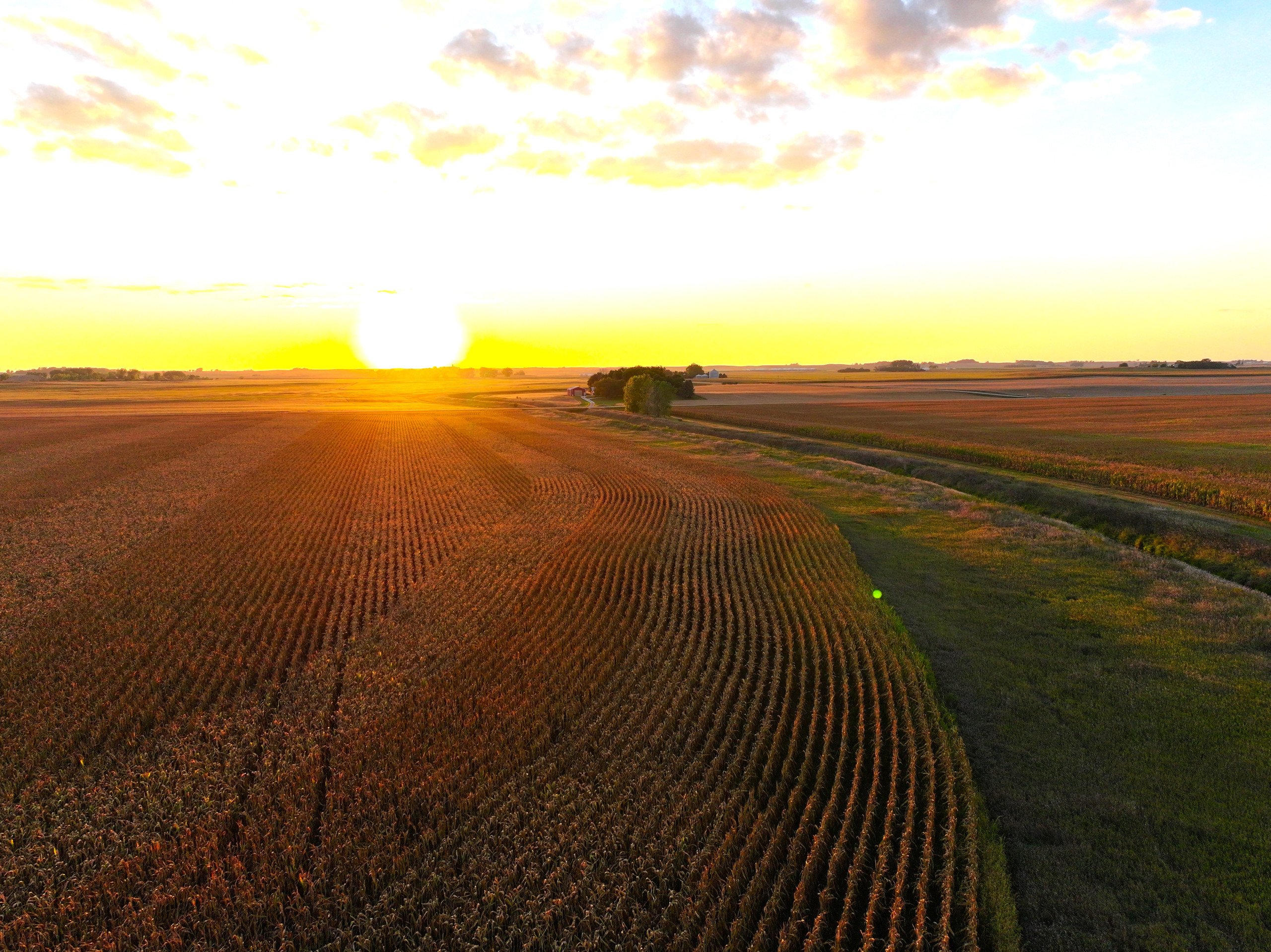 land-wright-county-iowa-361-acres-listing-number-16995-DJI_20230917191941_0119_D-1-0.jpg