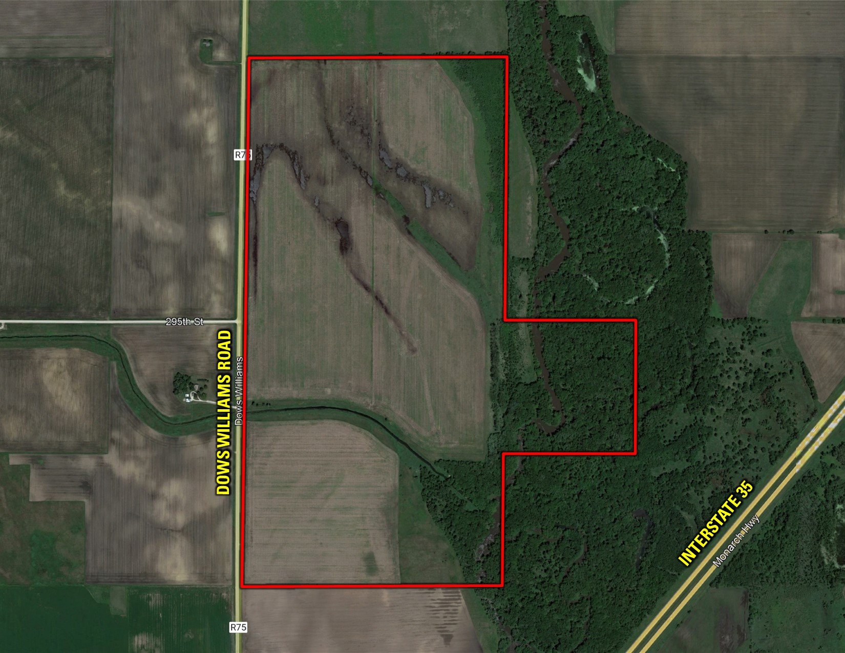 wright-county-iowa-361-acres-listing-number-16995-Reveiz - Wright Co - Google Close-0.jpg