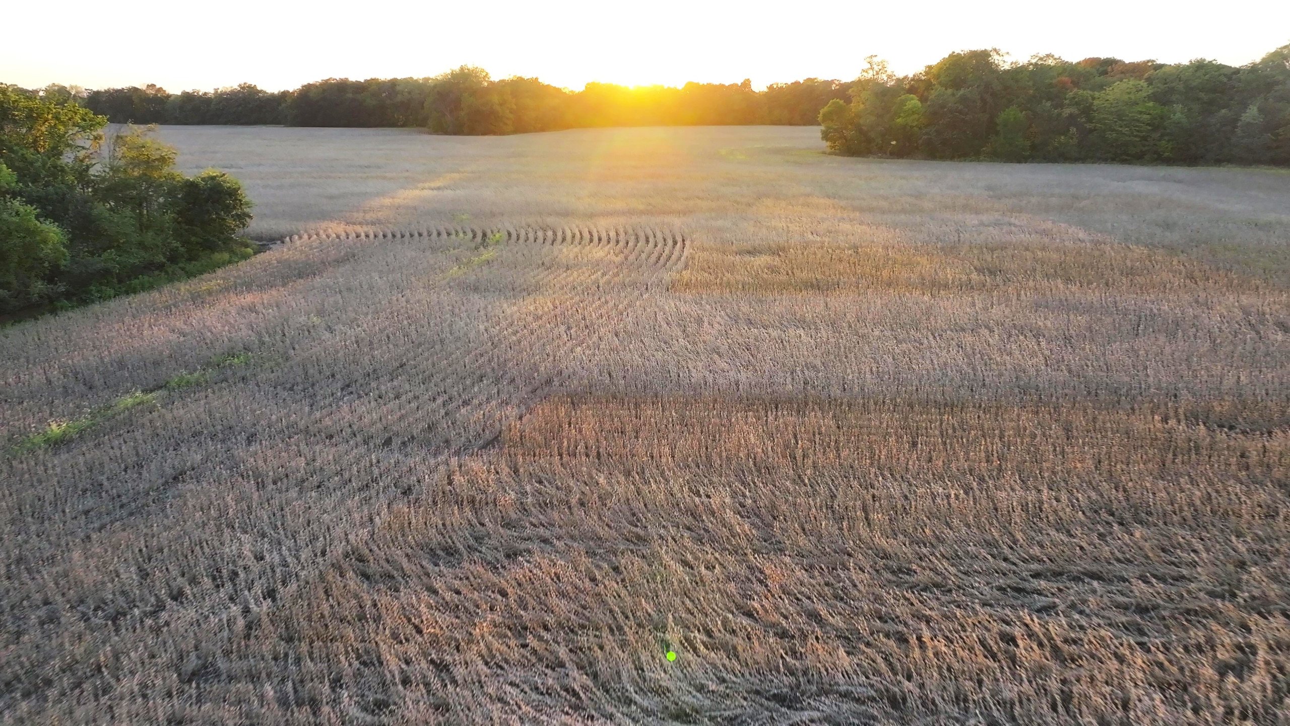 Hamilton County Iowa Farmland For Sale Hunting Tillable