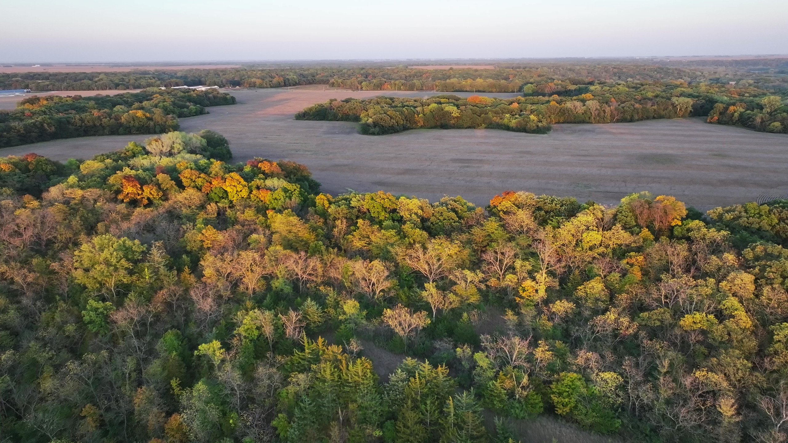 Hamilton County Iowa Farmland For Sale Hunting Tillable