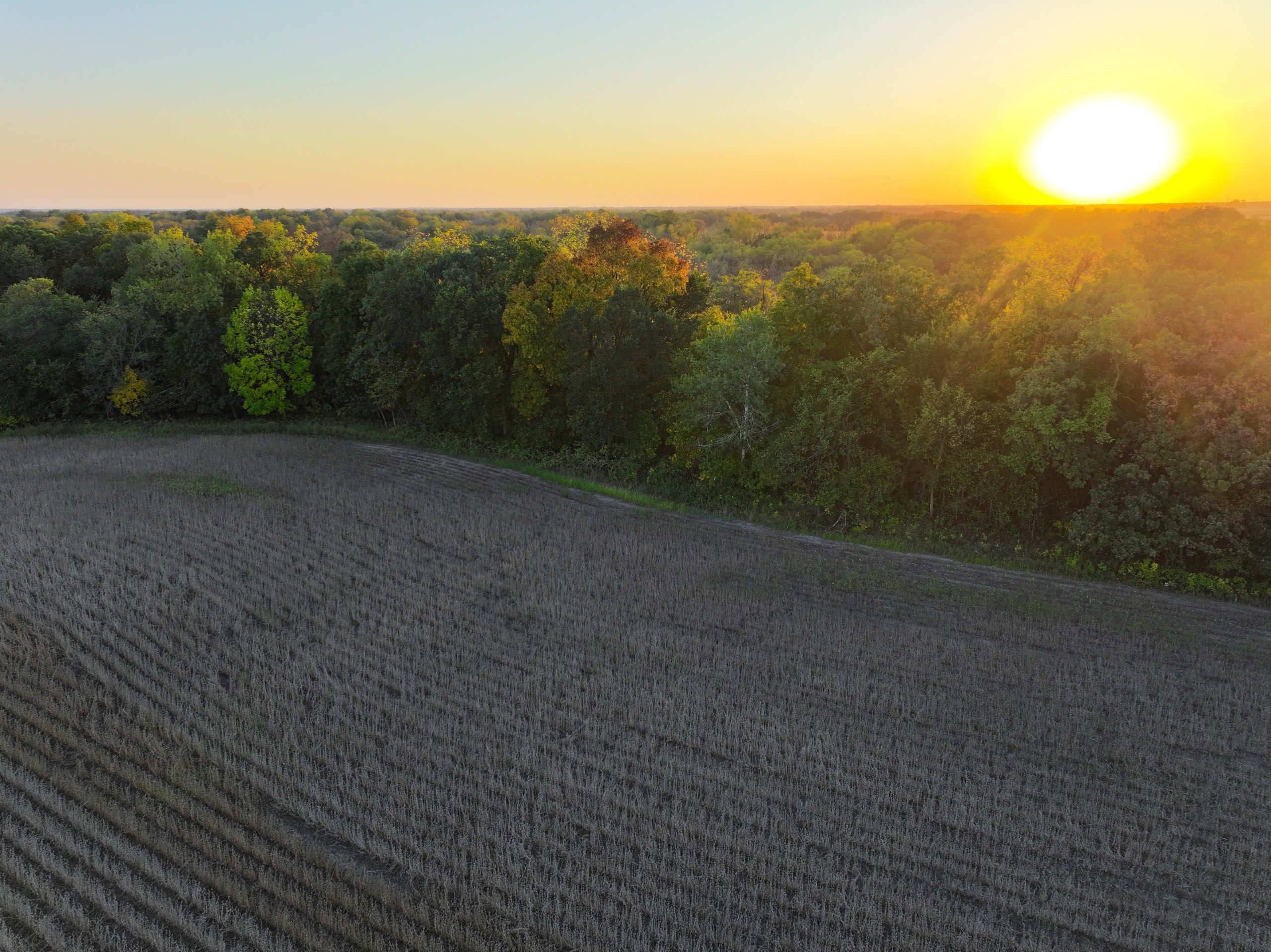 Hamilton County Iowa Farmland For Sale Hunting Tillable