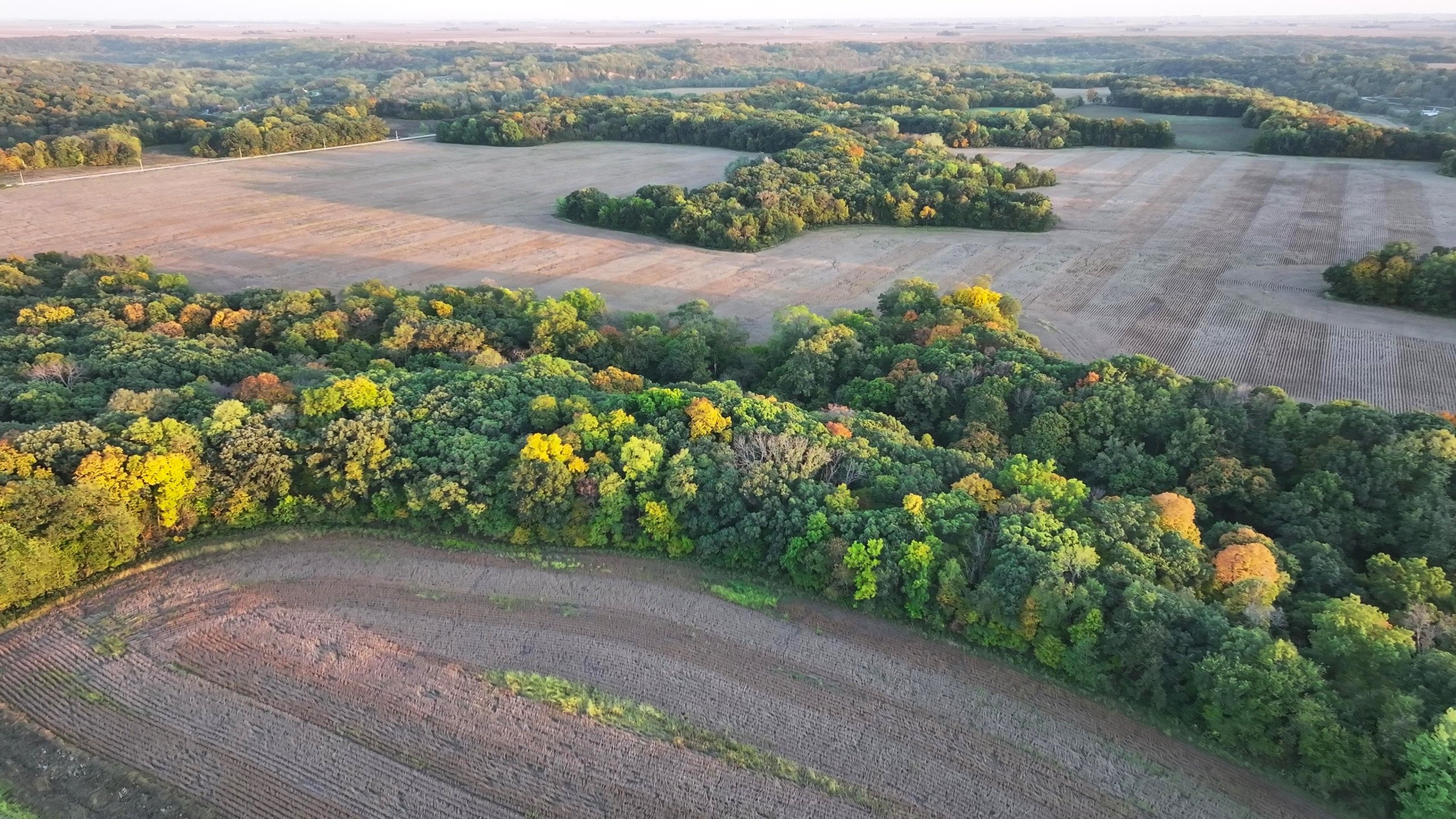 Hamilton County Iowa Farmland For Sale Hunting Tillable