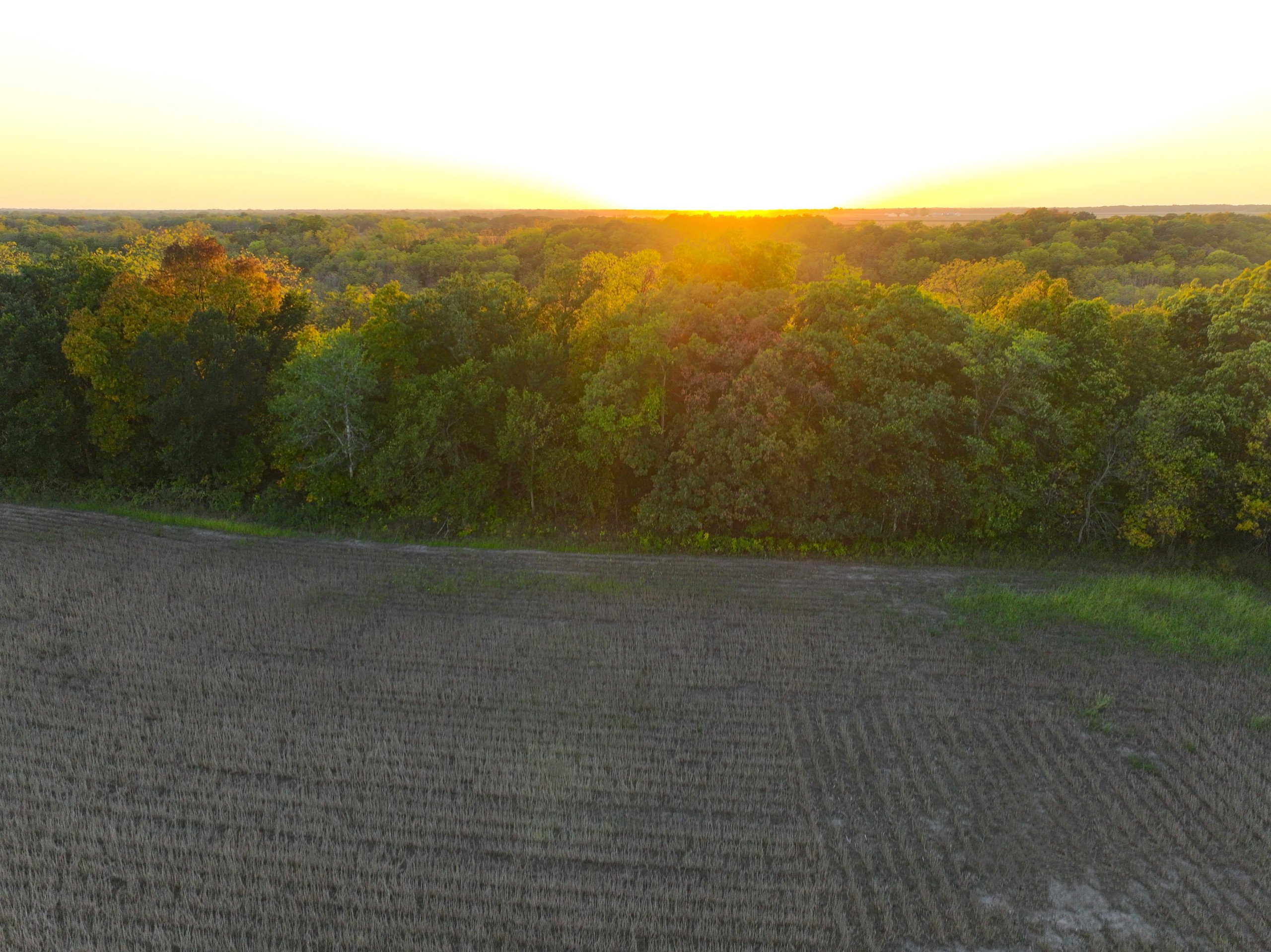 Hamilton County Iowa Farmland For Sale Hunting Tillable