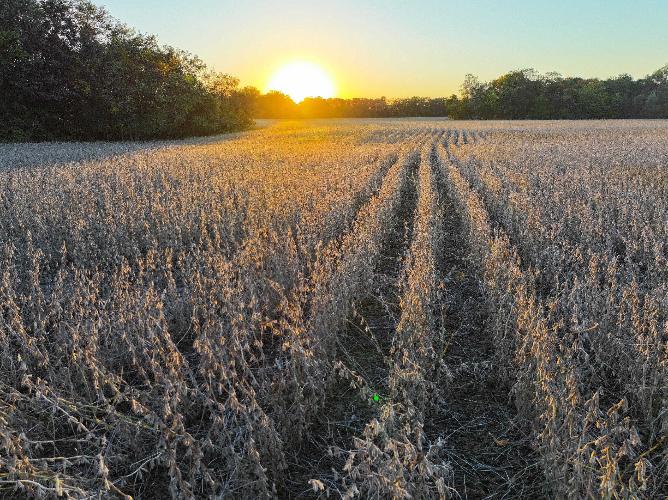 Hamilton County Iowa Farmland For Sale Hunting Tillable