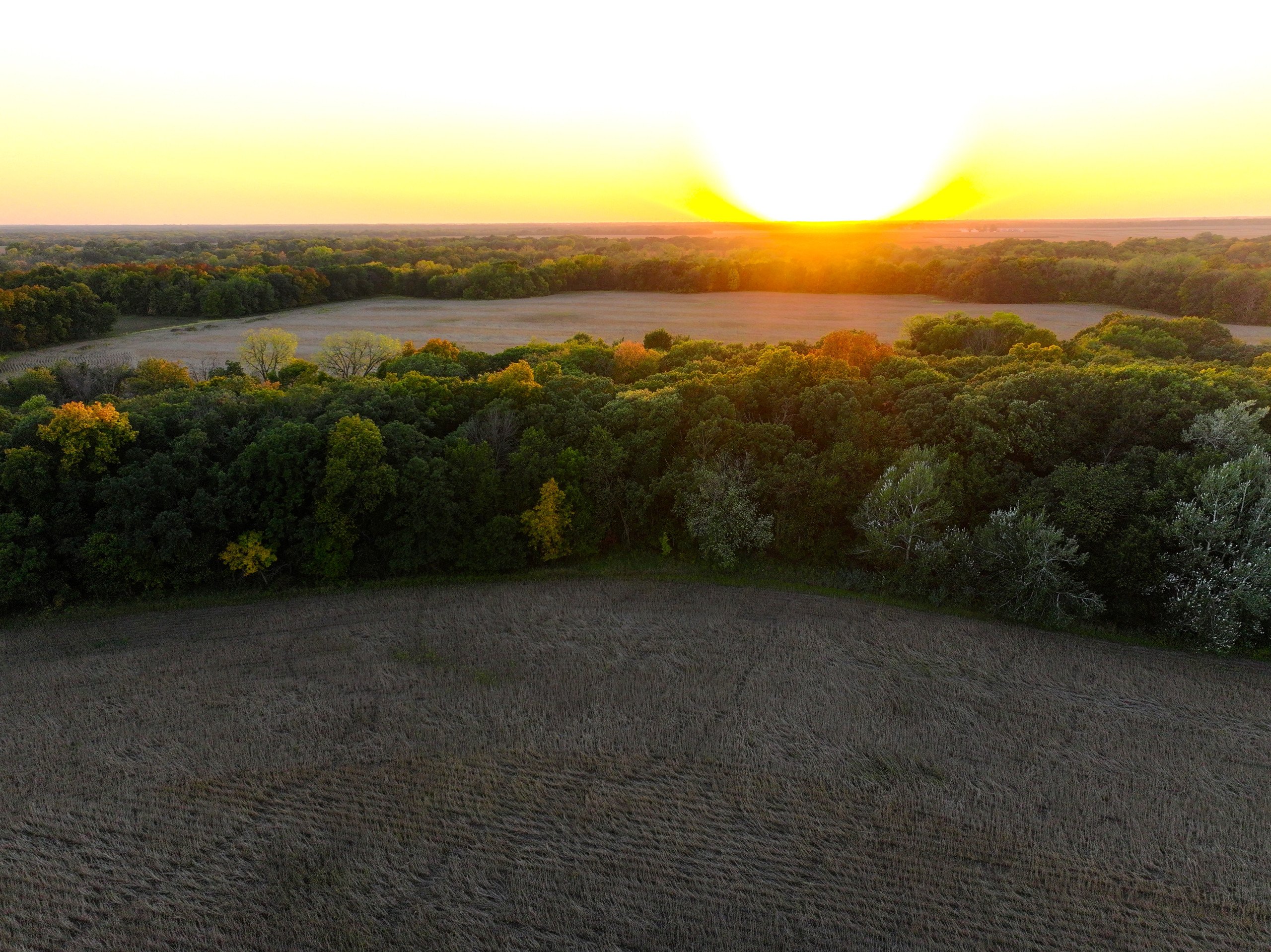 Hamilton County Iowa Farmland For Sale Hunting Tillable