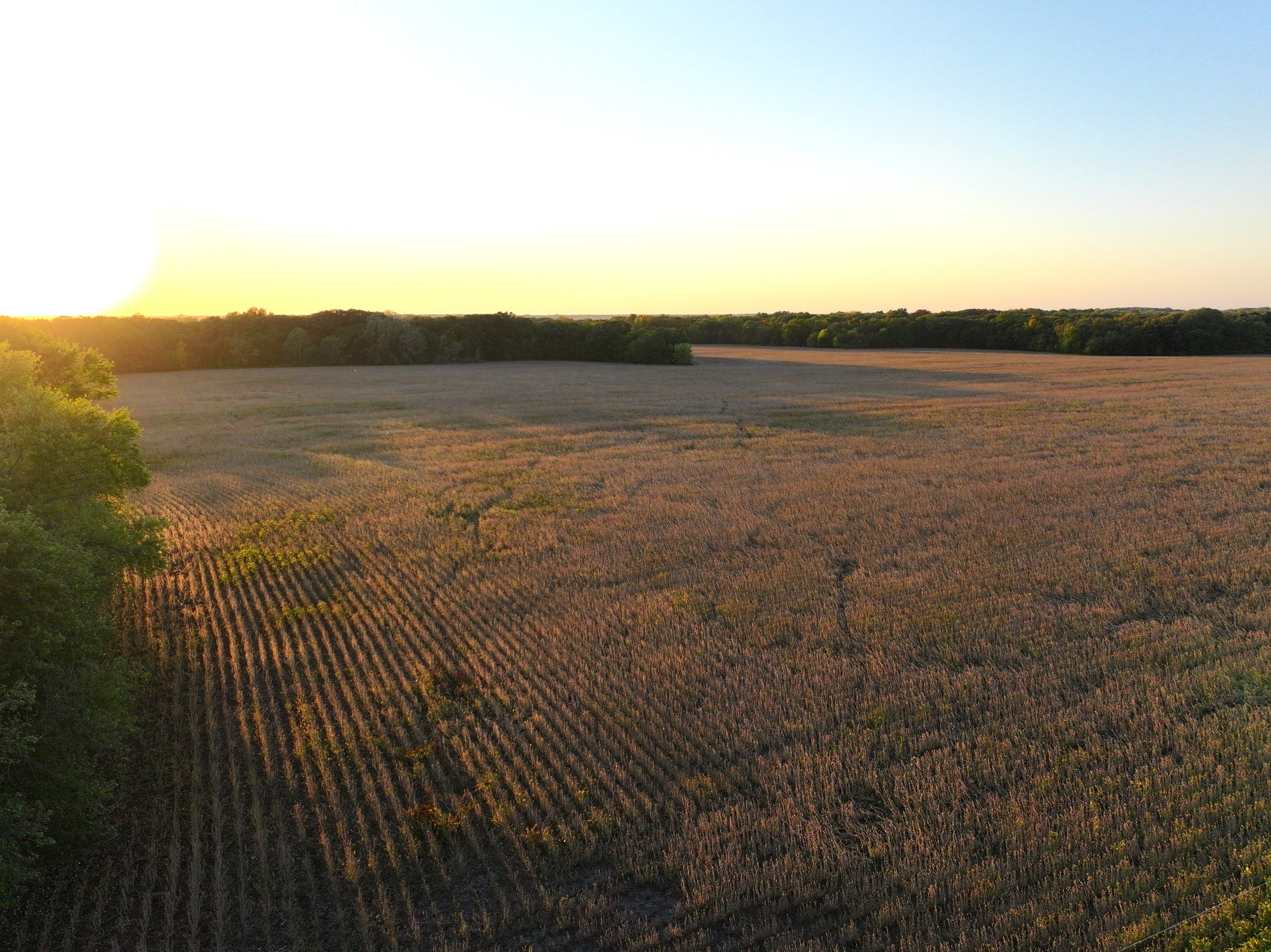 Hamilton County Iowa Farmland For Sale Hunting Tillable