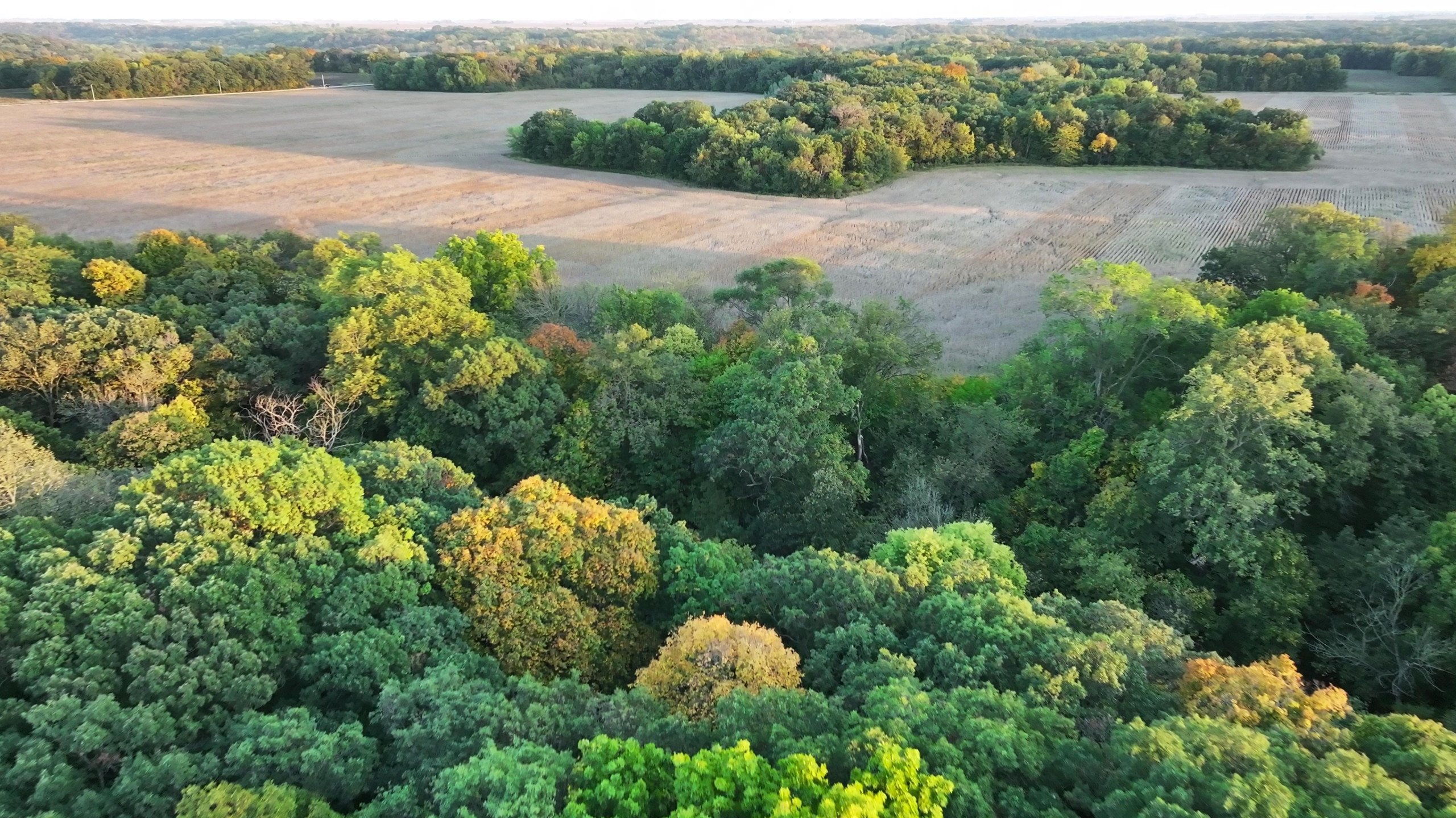 Hamilton County Iowa Farmland For Sale Hunting Tillable