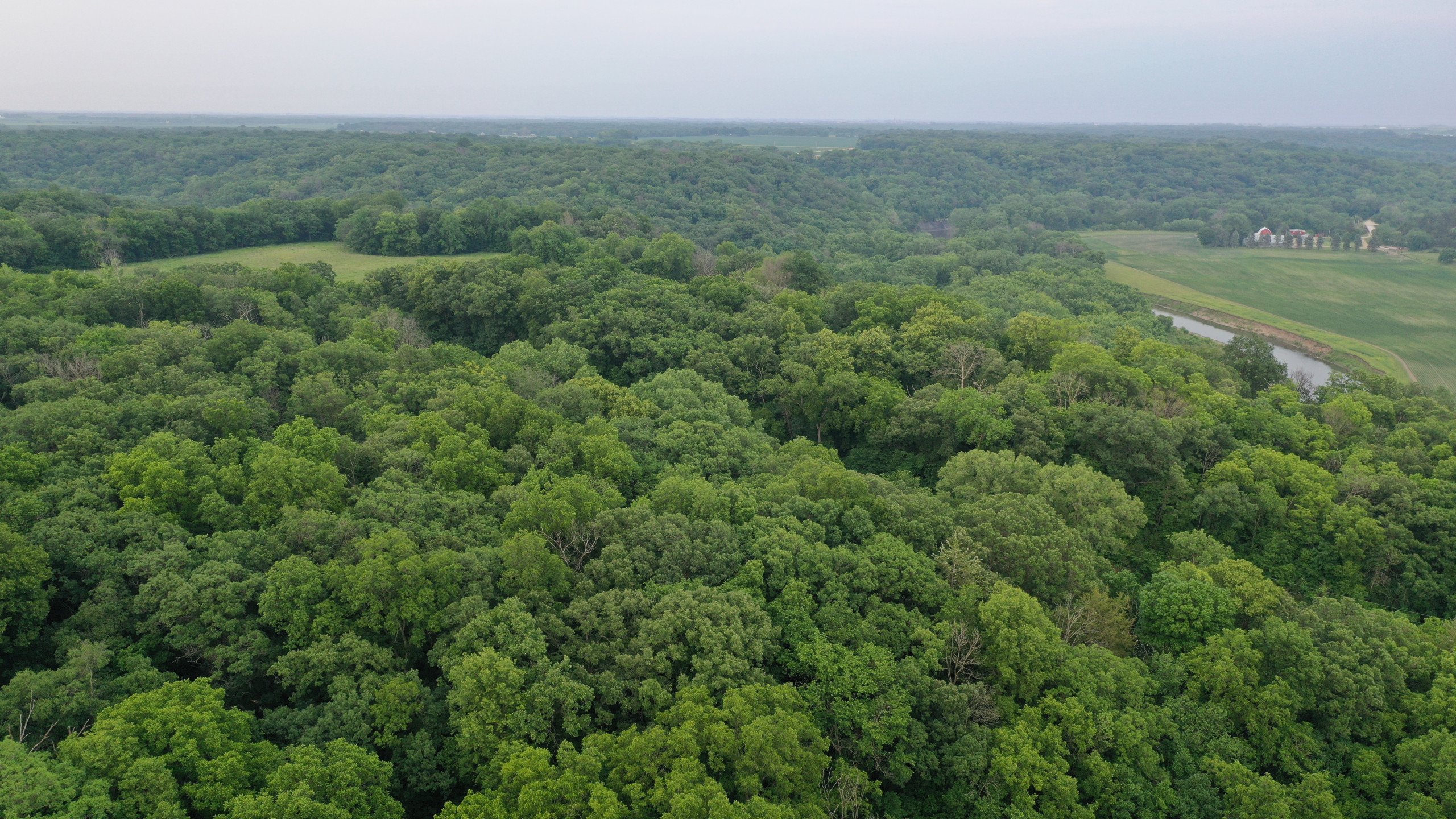 Listing 16996 Peoples Company