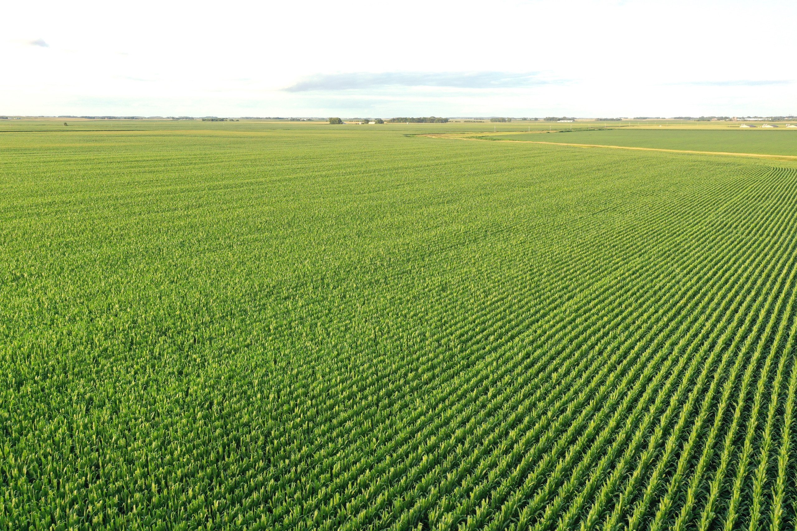 auctions-land-hancock-county-iowa-43-acres-listing-number-16998-DJI_0480-0.jpg