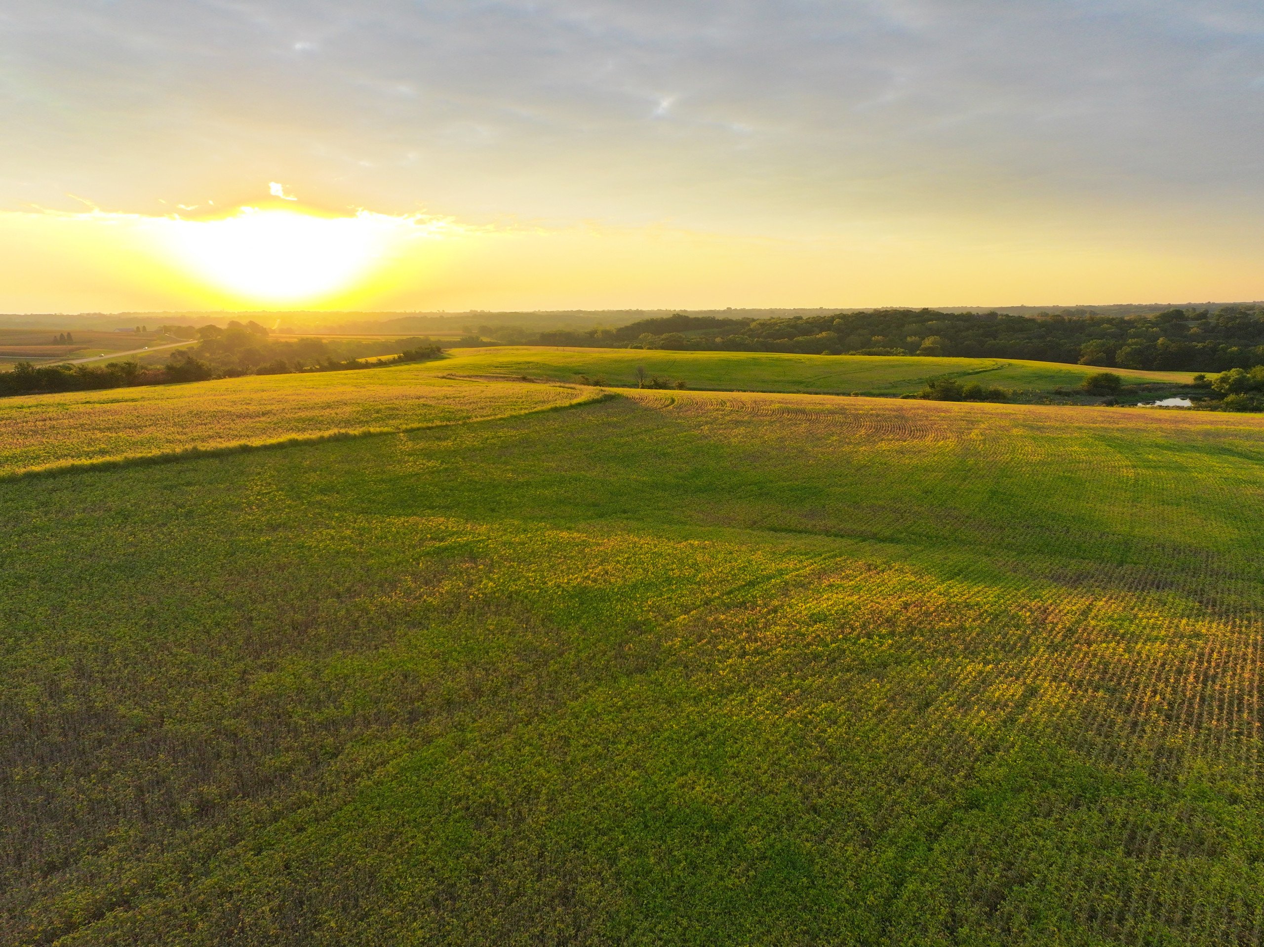 land-warren-county-iowa-219-acres-listing-number-16999-DJI_20230914073044_0005_D-1-0.jpg