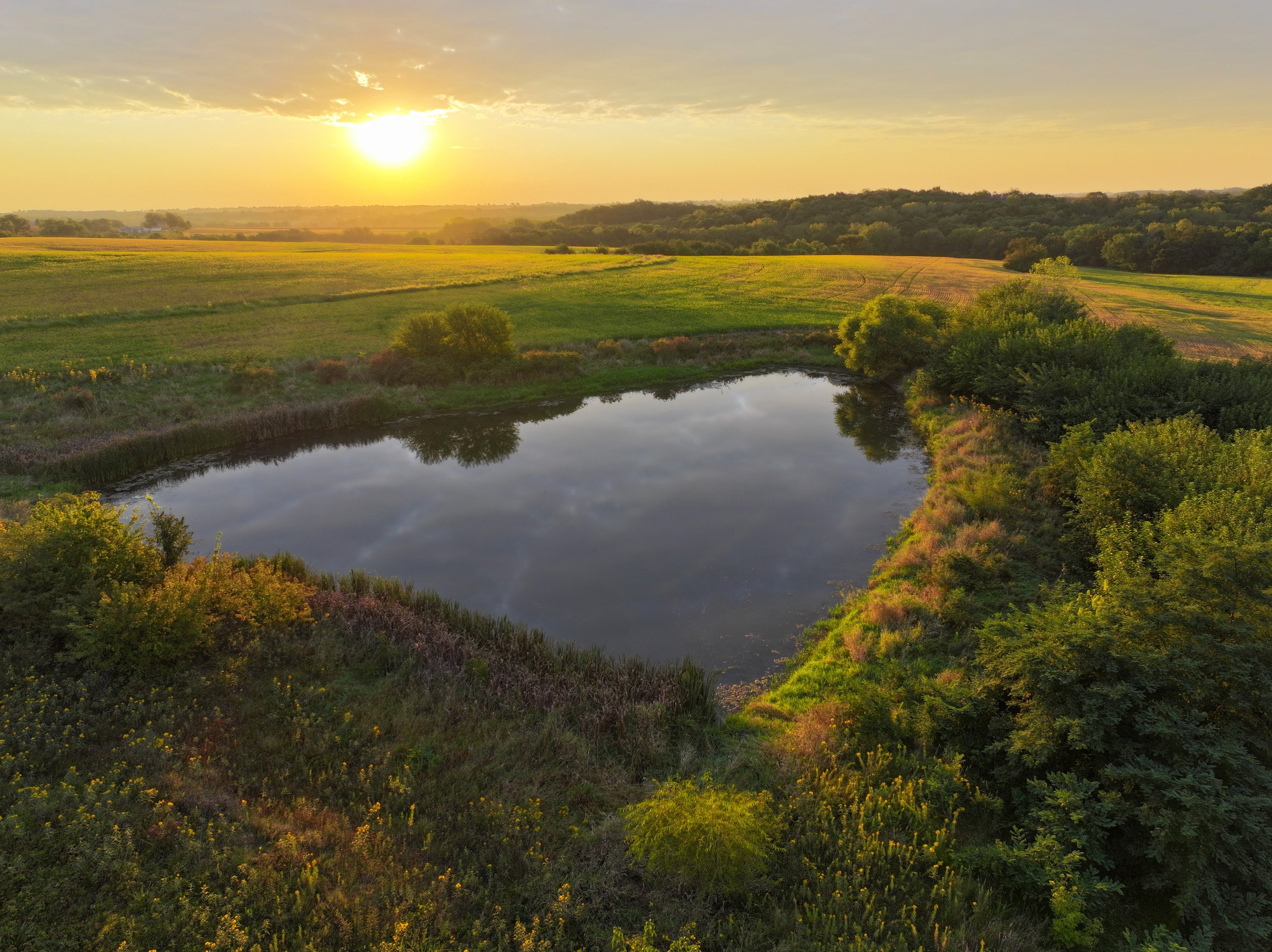 land-warren-county-iowa-219-acres-listing-number-16999-DJI_20230914073142_0008_D-1-1.jpg