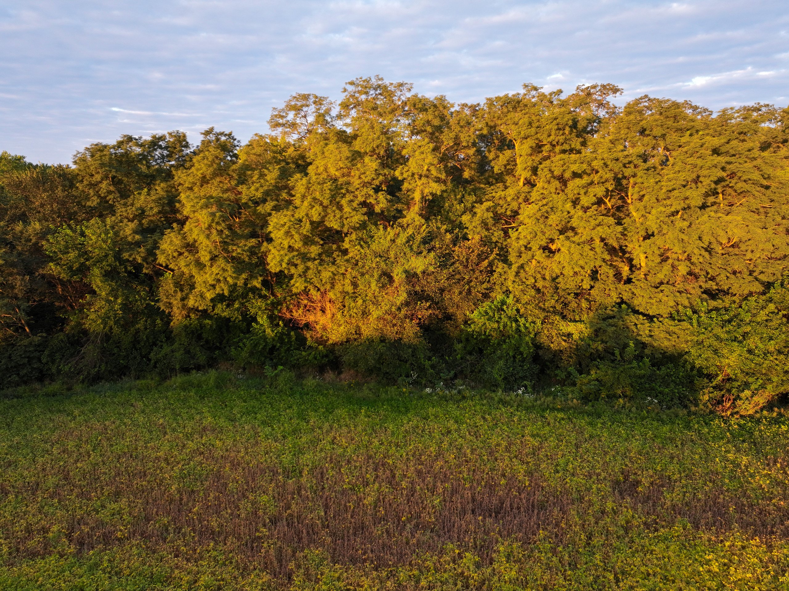 land-warren-county-iowa-219-acres-listing-number-16999-DJI_20230914073157_0010_D-1-2.jpg