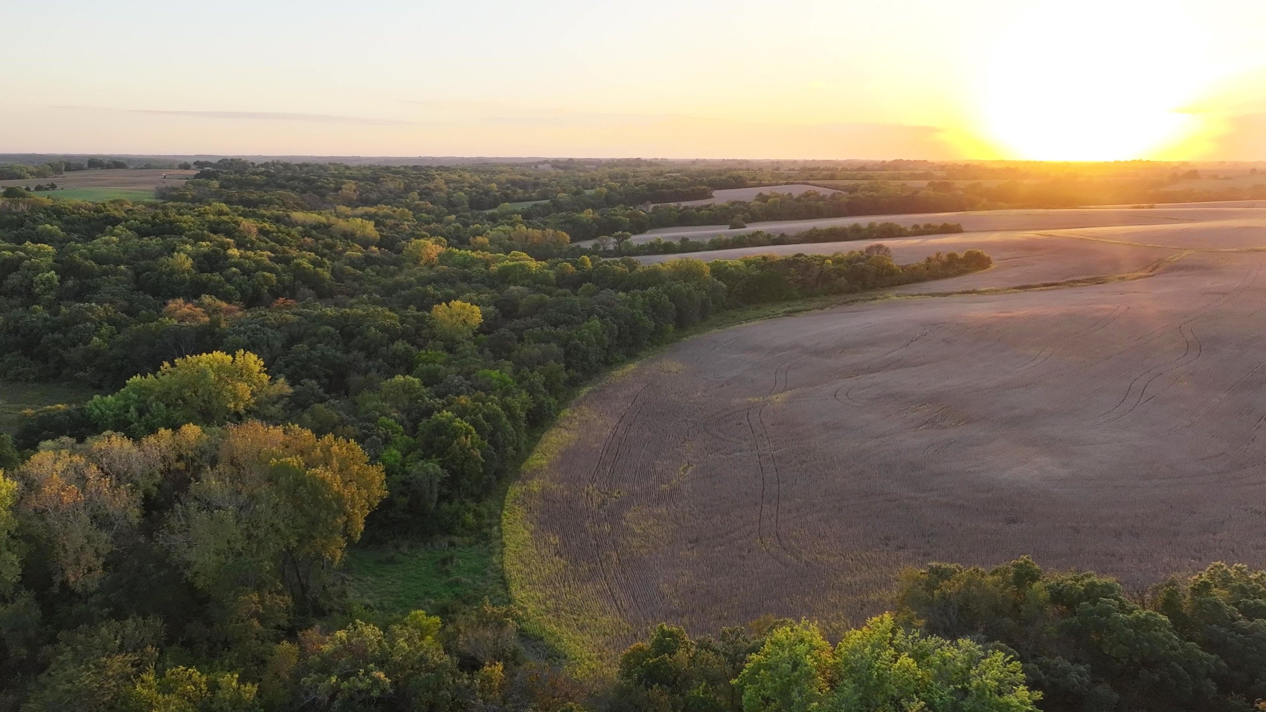 land-warren-county-iowa-219-acres-listing-number-16999-DJI_20230926190310_0158_D - frame at 0m25s-1-7.jpg