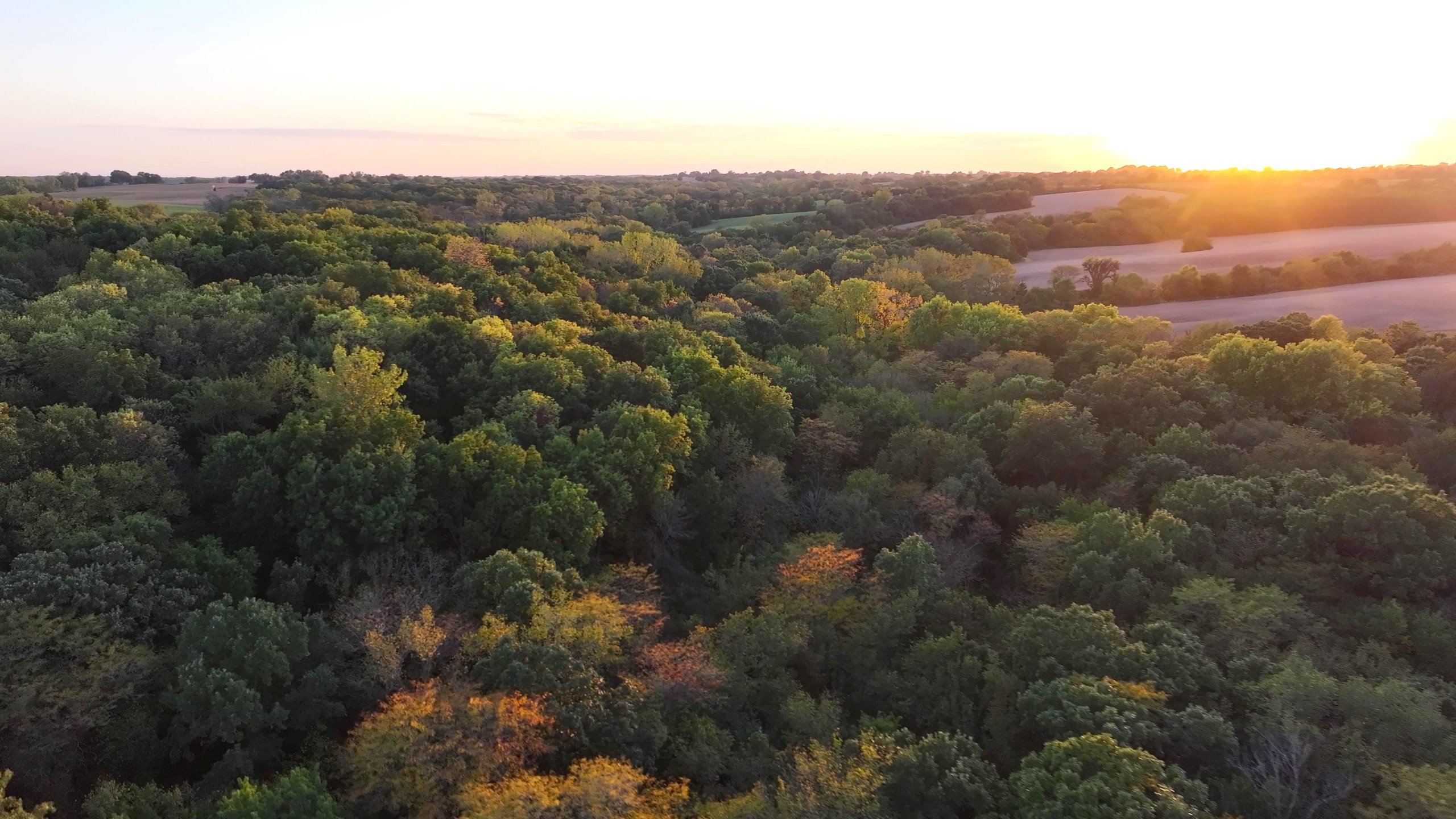 land-warren-county-iowa-219-acres-listing-number-16999-DJI_20230926190310_0158_D - frame at 0m44s-1-8.jpg