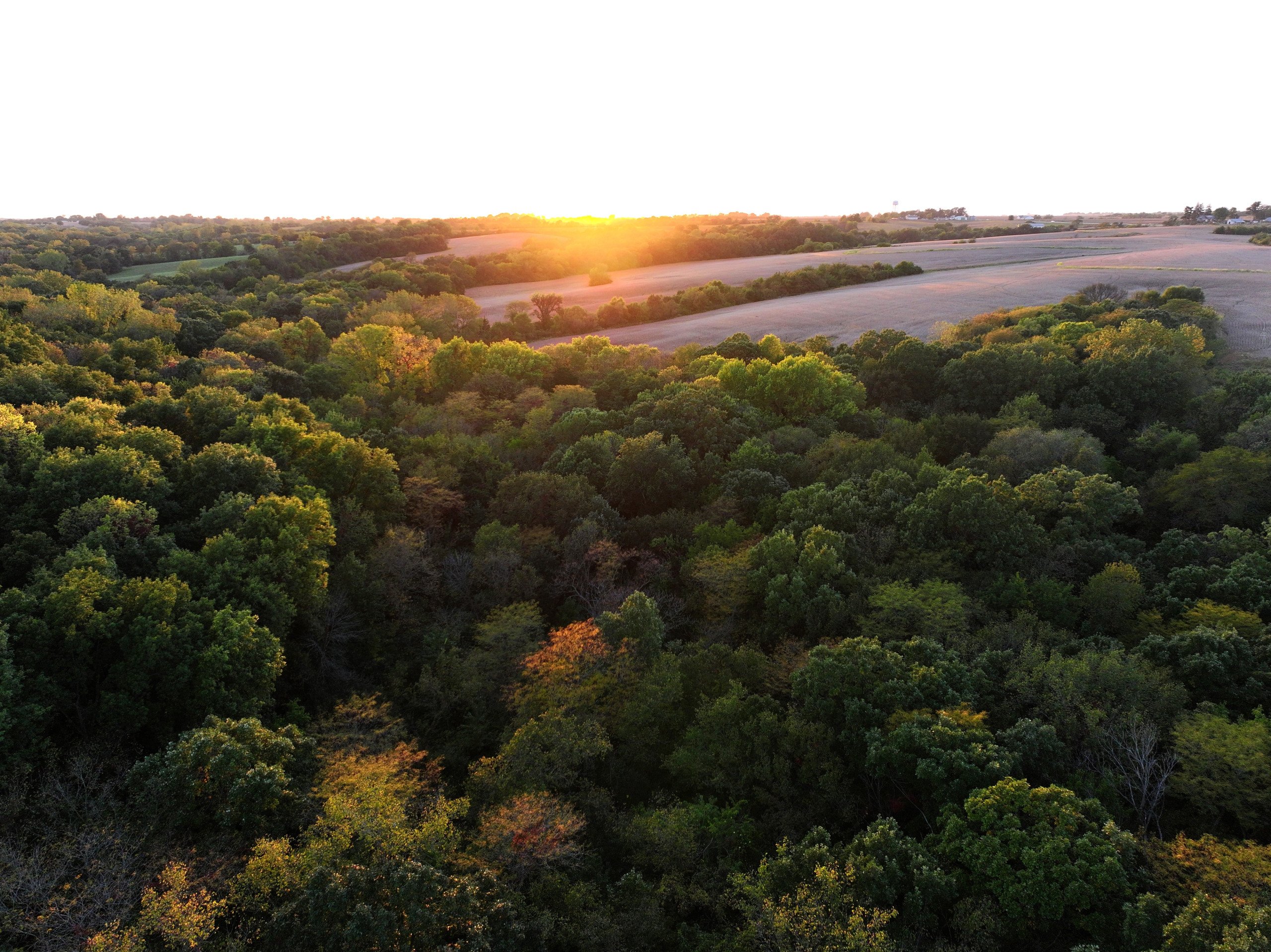 land-warren-county-iowa-219-acres-listing-number-16999-DJI_20230926190403_0159_D-1-9.jpg