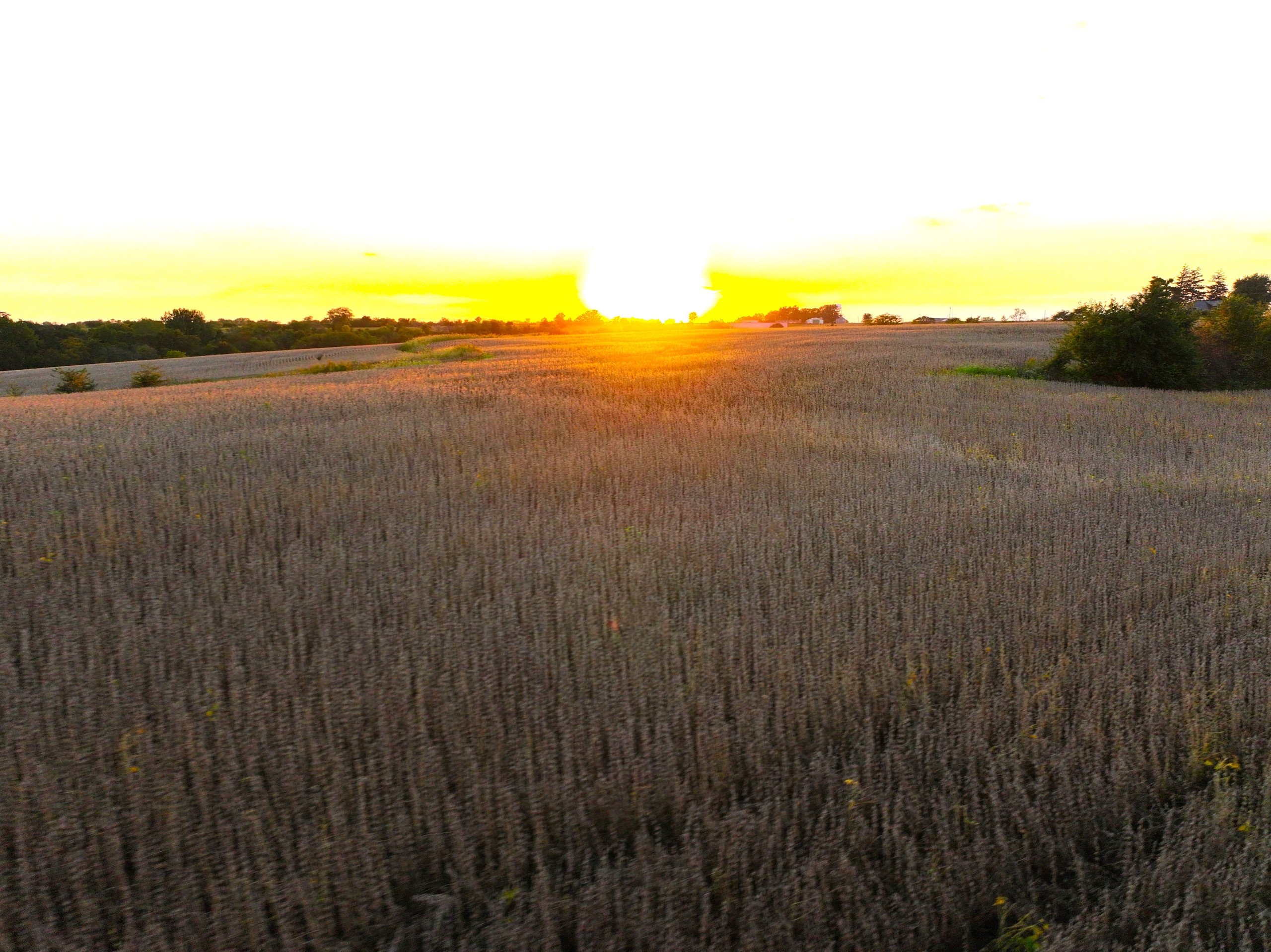 land-warren-county-iowa-219-acres-listing-number-16999-DJI_20230926190554_0164_D-1-10.jpg