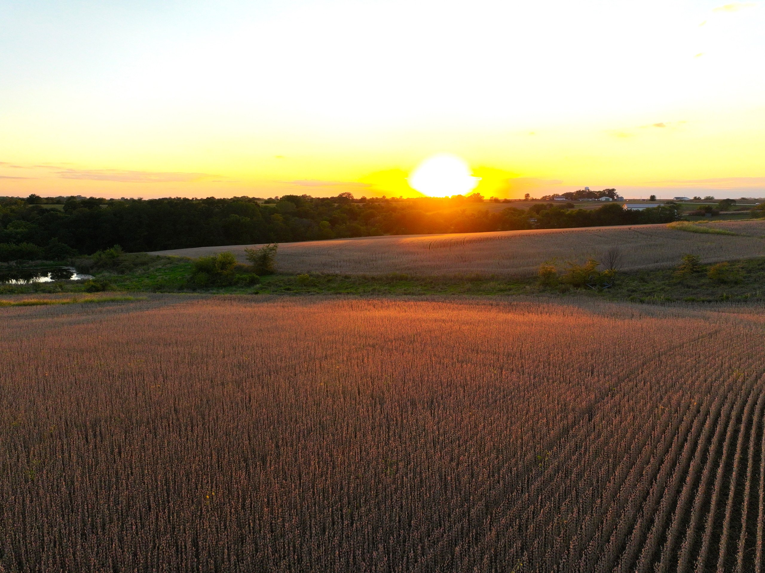 land-warren-county-iowa-219-acres-listing-number-16999-DJI_20230926190610_0166_D-1-11.jpg