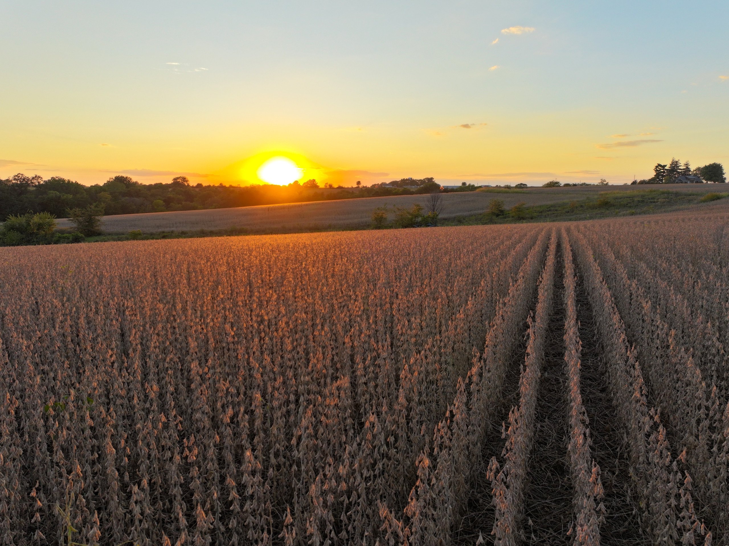 land-warren-county-iowa-219-acres-listing-number-16999-DJI_20230926190616_0167_D-1-12.jpg