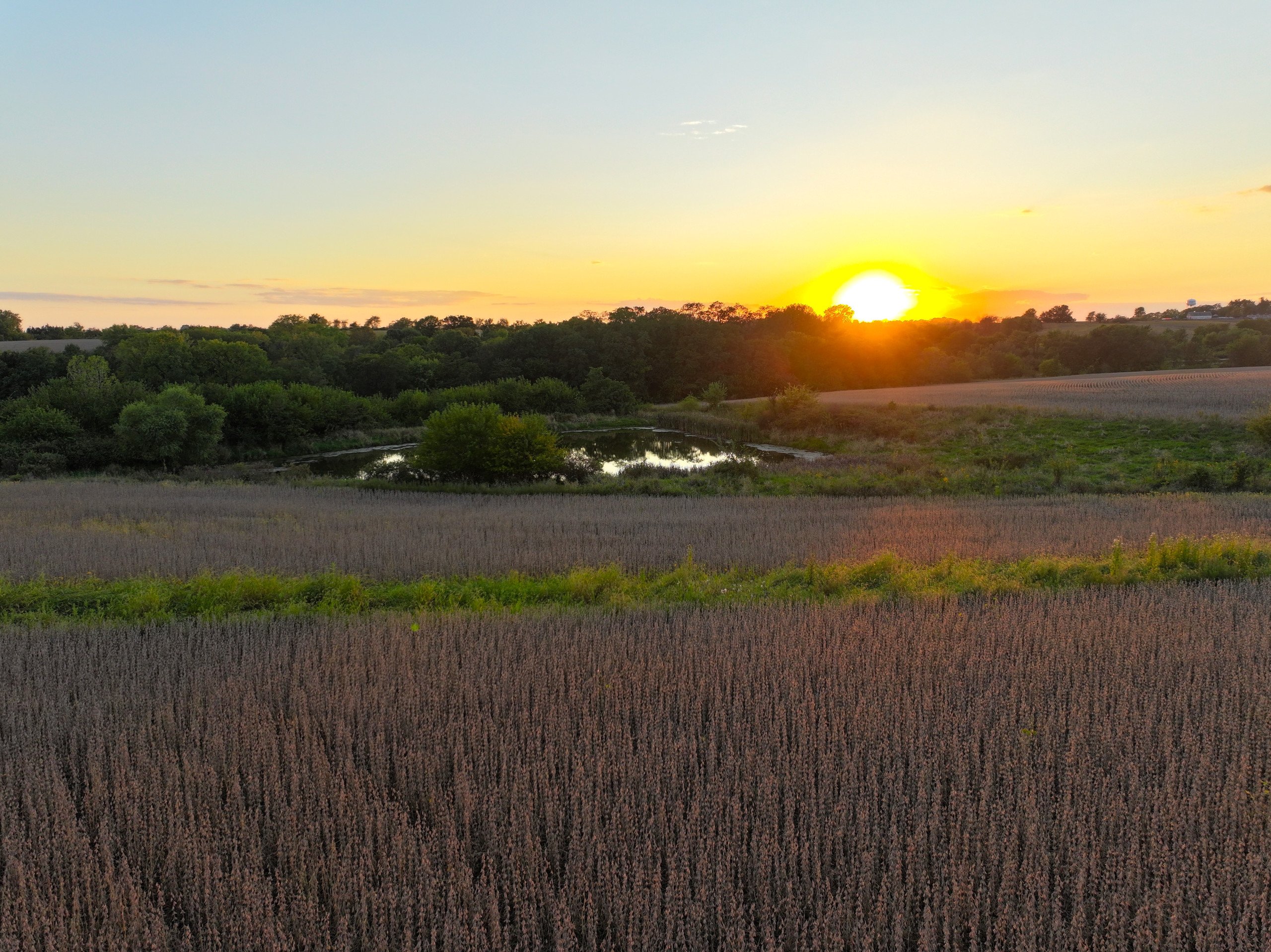 land-warren-county-iowa-219-acres-listing-number-16999-DJI_20230926190645_0170_D-1-13.jpg