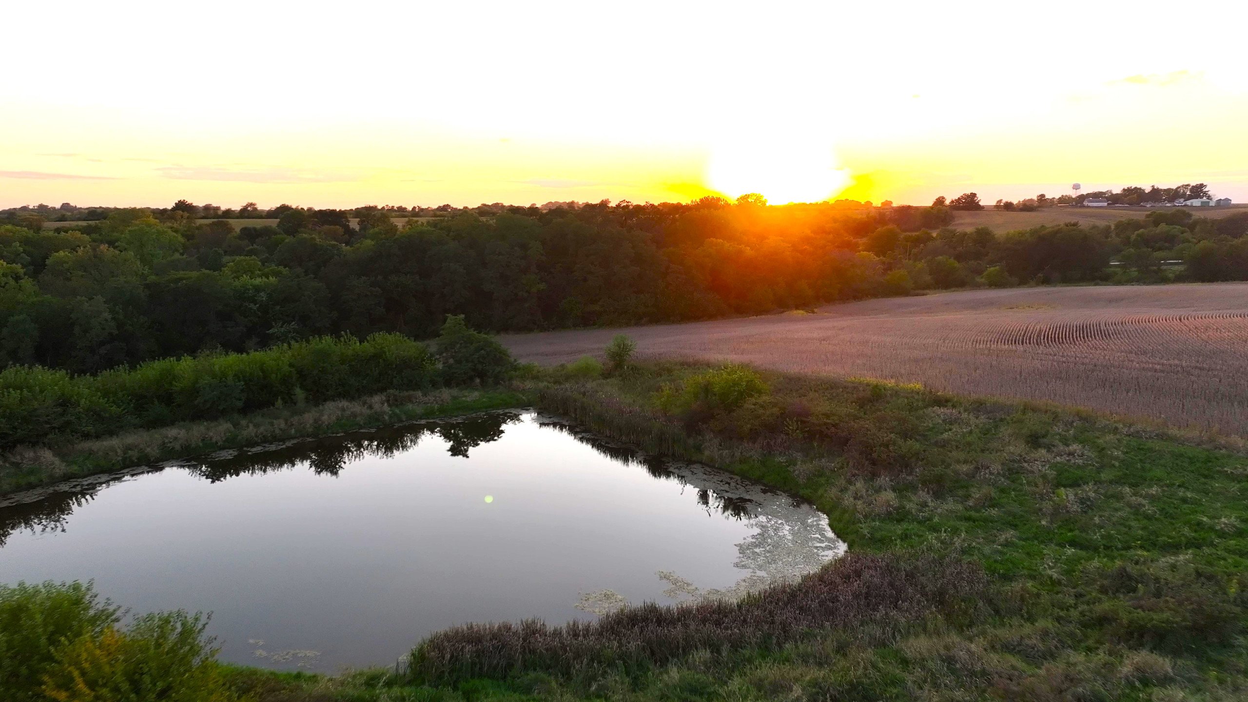 land-warren-county-iowa-219-acres-listing-number-16999-DJI_20230926190650_0171_D - frame at 0m2s-1-14.jpg