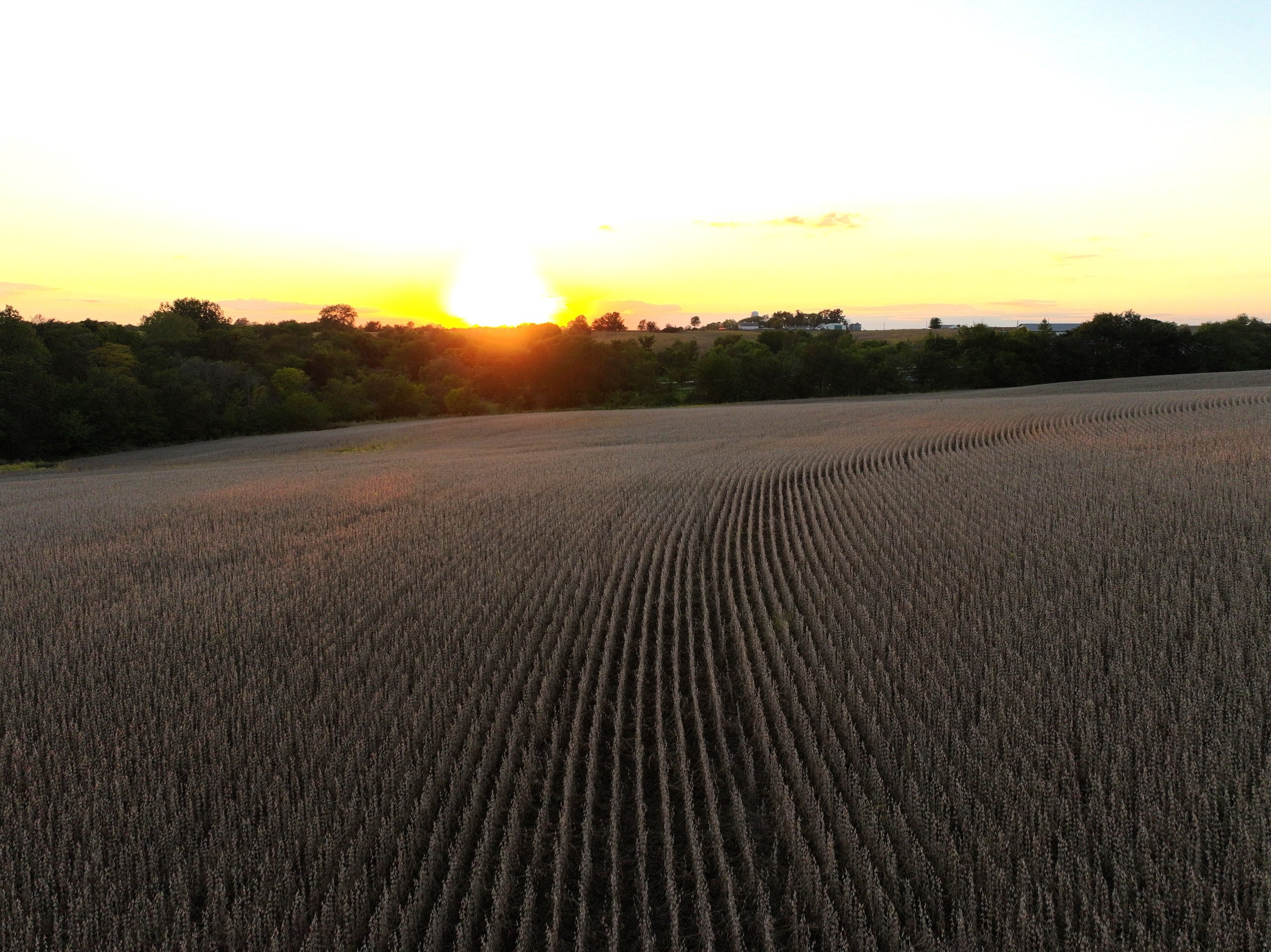 land-warren-county-iowa-219-acres-listing-number-16999-DJI_20230926190804_0173_D-1-15.jpg