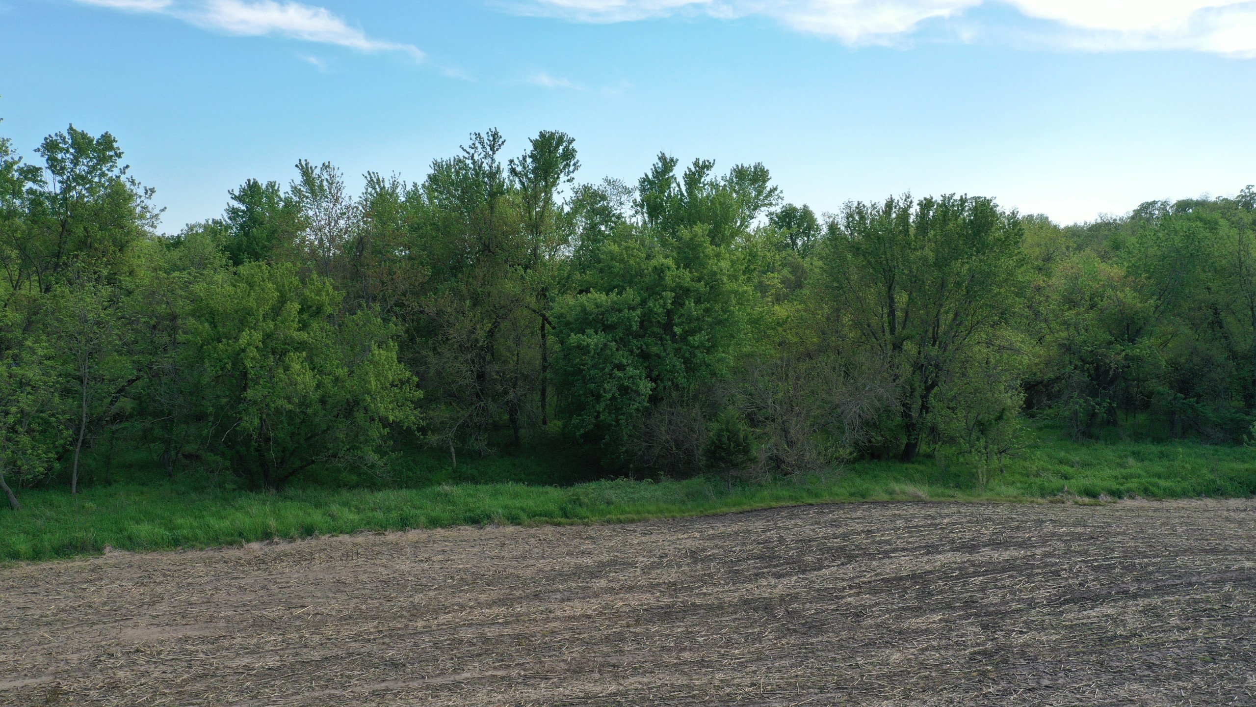 land-warren-county-iowa-76-acres-listing-number-17003-DJI_0876-7.jpg