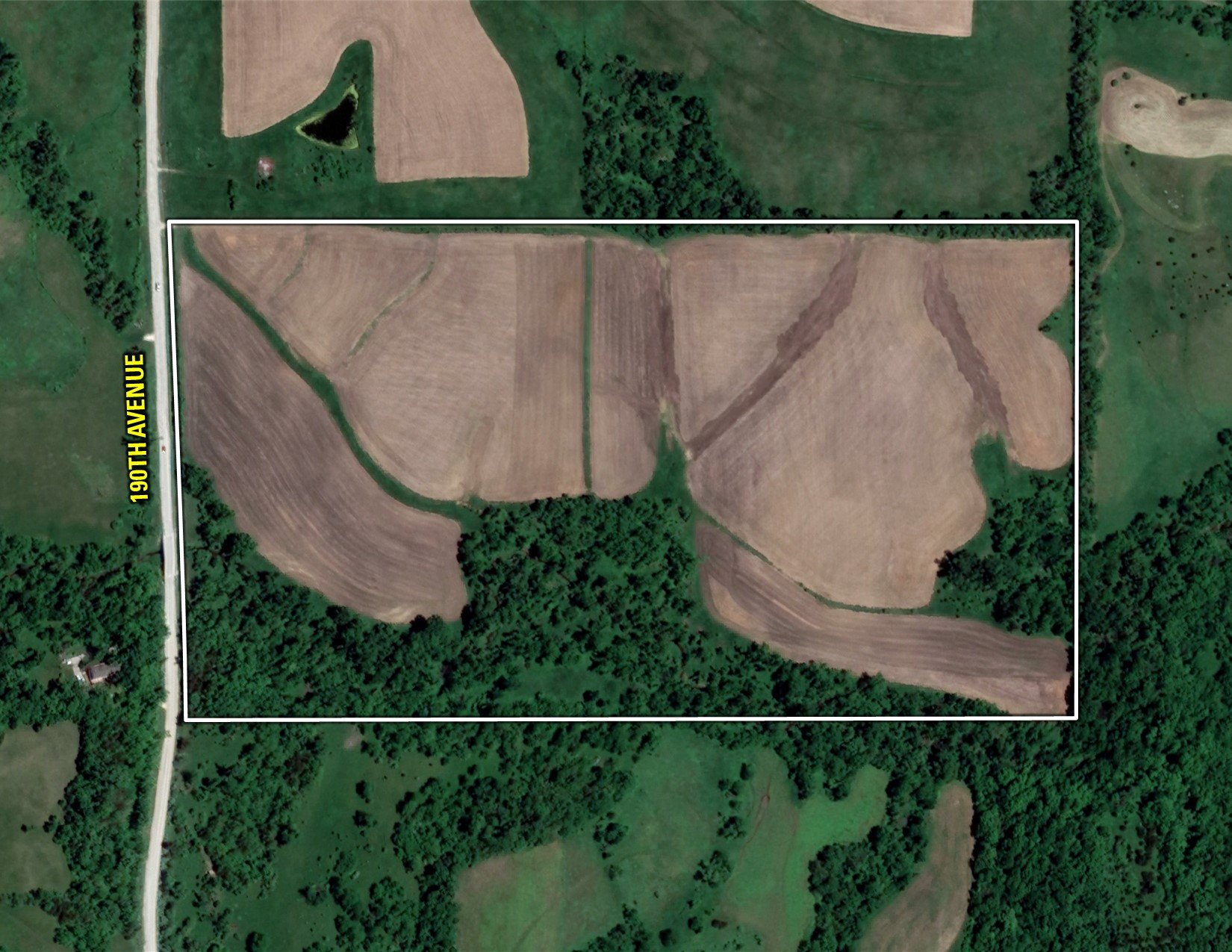 land-warren-county-iowa-76-acres-listing-number-17003-Reveiz - Farm 53 - Google Close-0.jpg