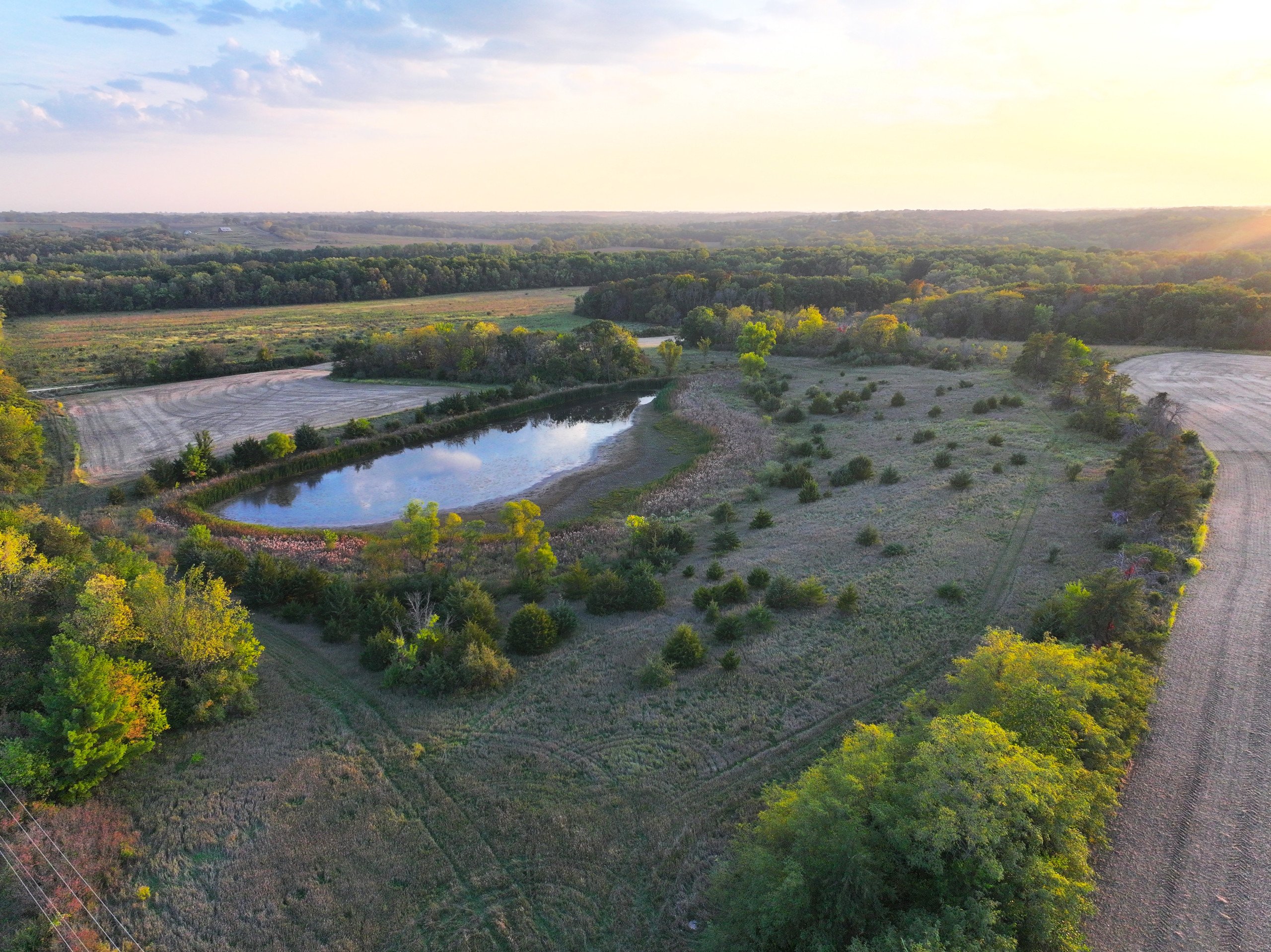 land-marion-county-iowa-172-acres-listing-number-17005-DJI_20231001184152_0239_D-1-1.jpg