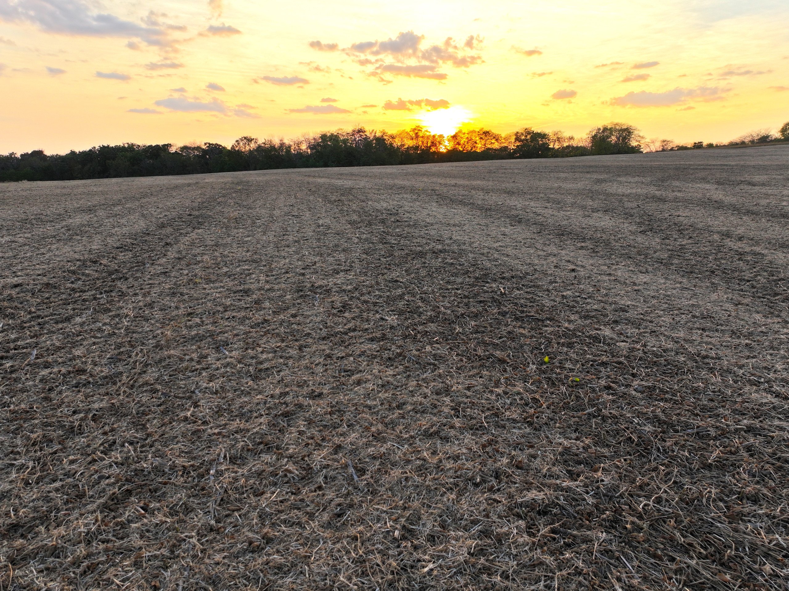 land-marion-county-iowa-172-acres-listing-number-17005-DJI_20231001185428_0275_D-1-8.jpg