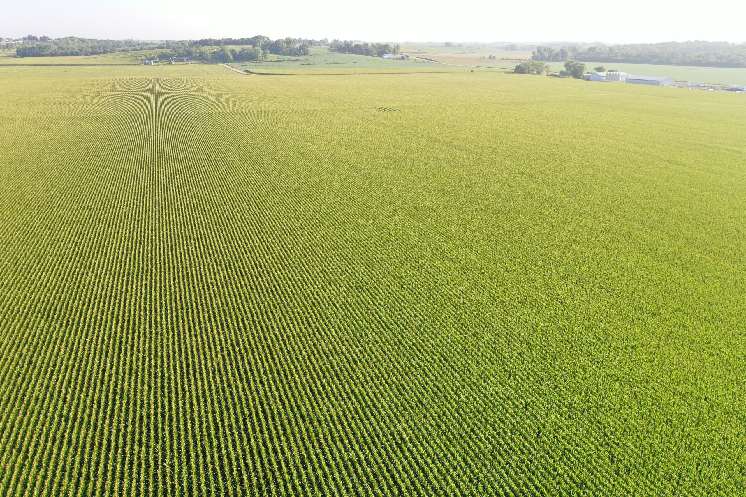 Jasper County, Iowa Farmland Auction