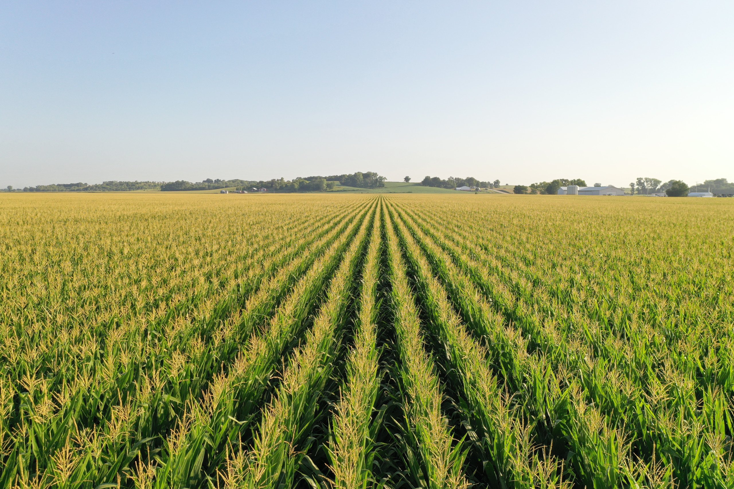 Jasper County, Iowa Farmland Auction