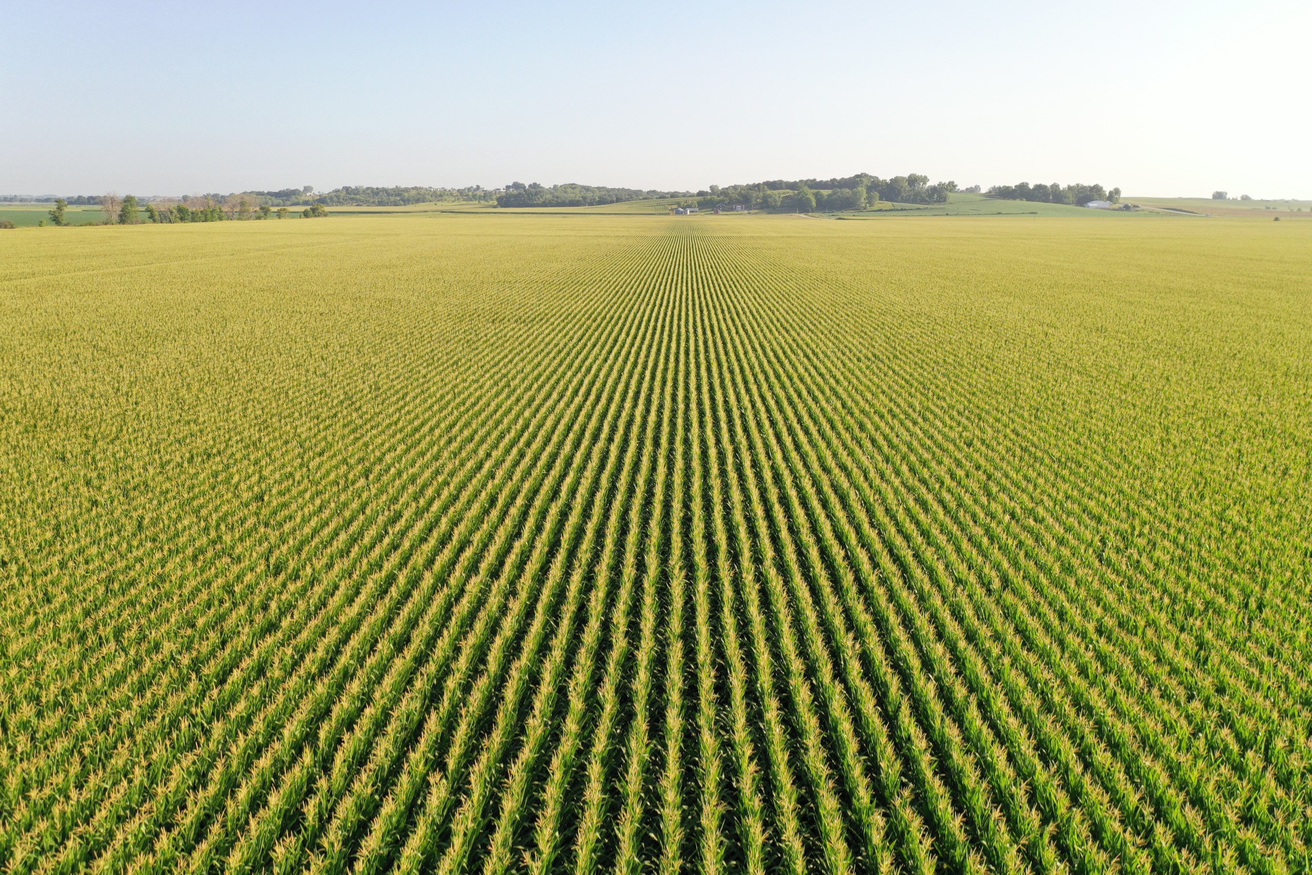 Jasper County, Iowa Farmland Auction