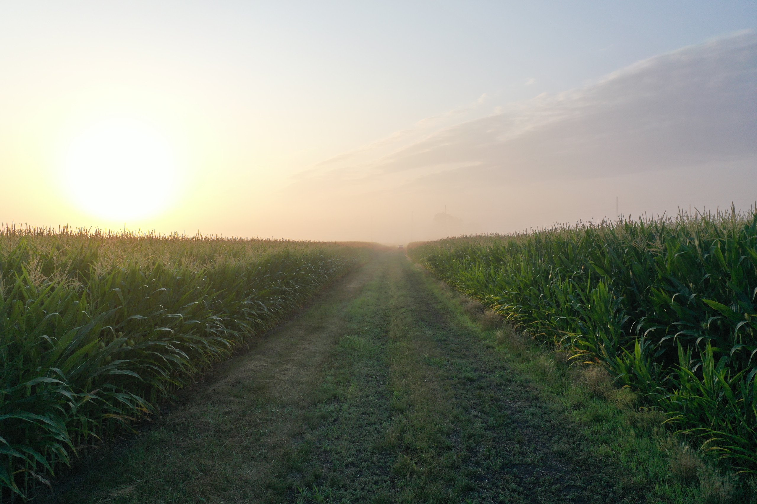 Jasper County, Iowa Farmland Auction