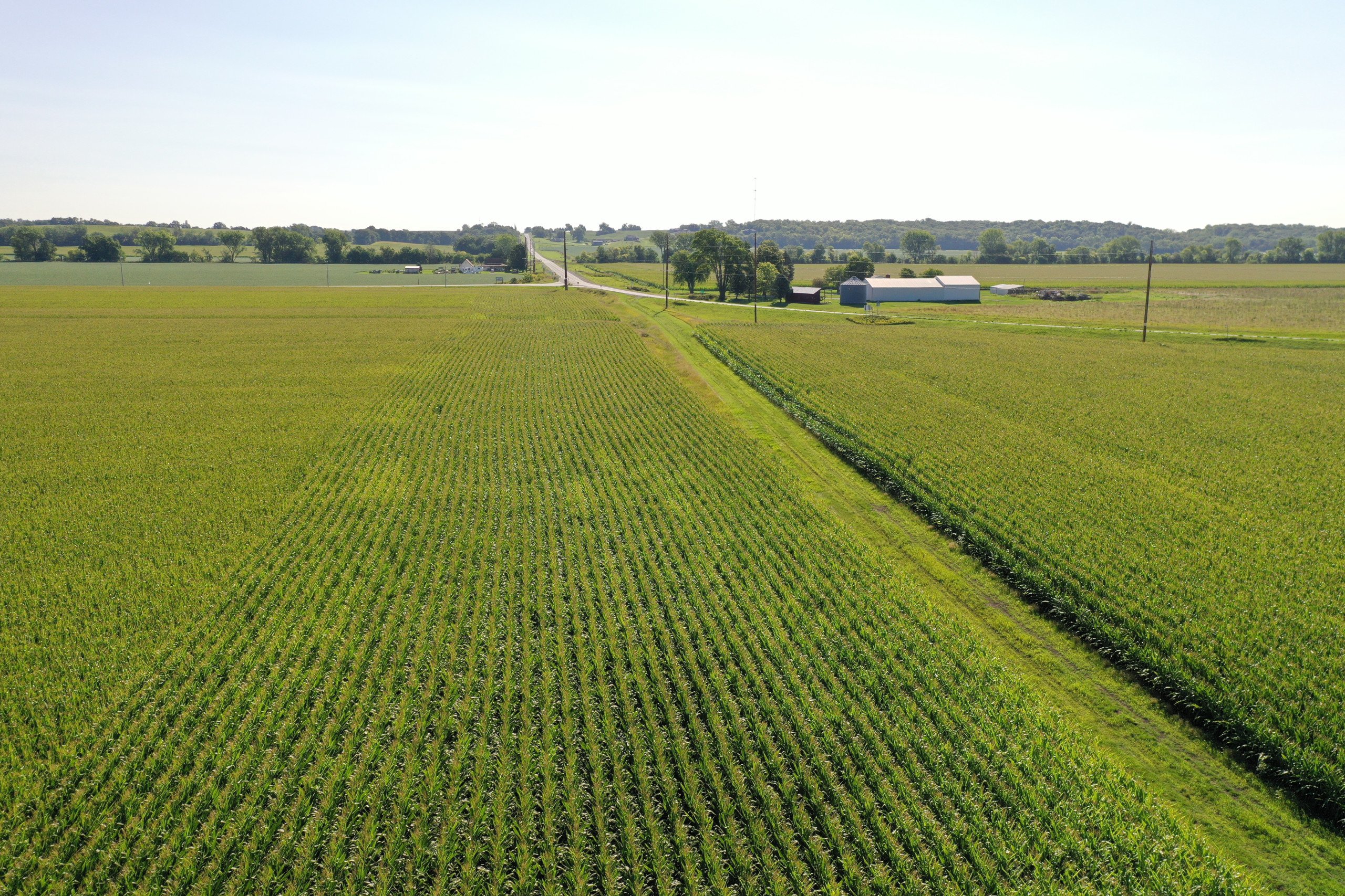 Jasper County, Iowa Farmland Auction