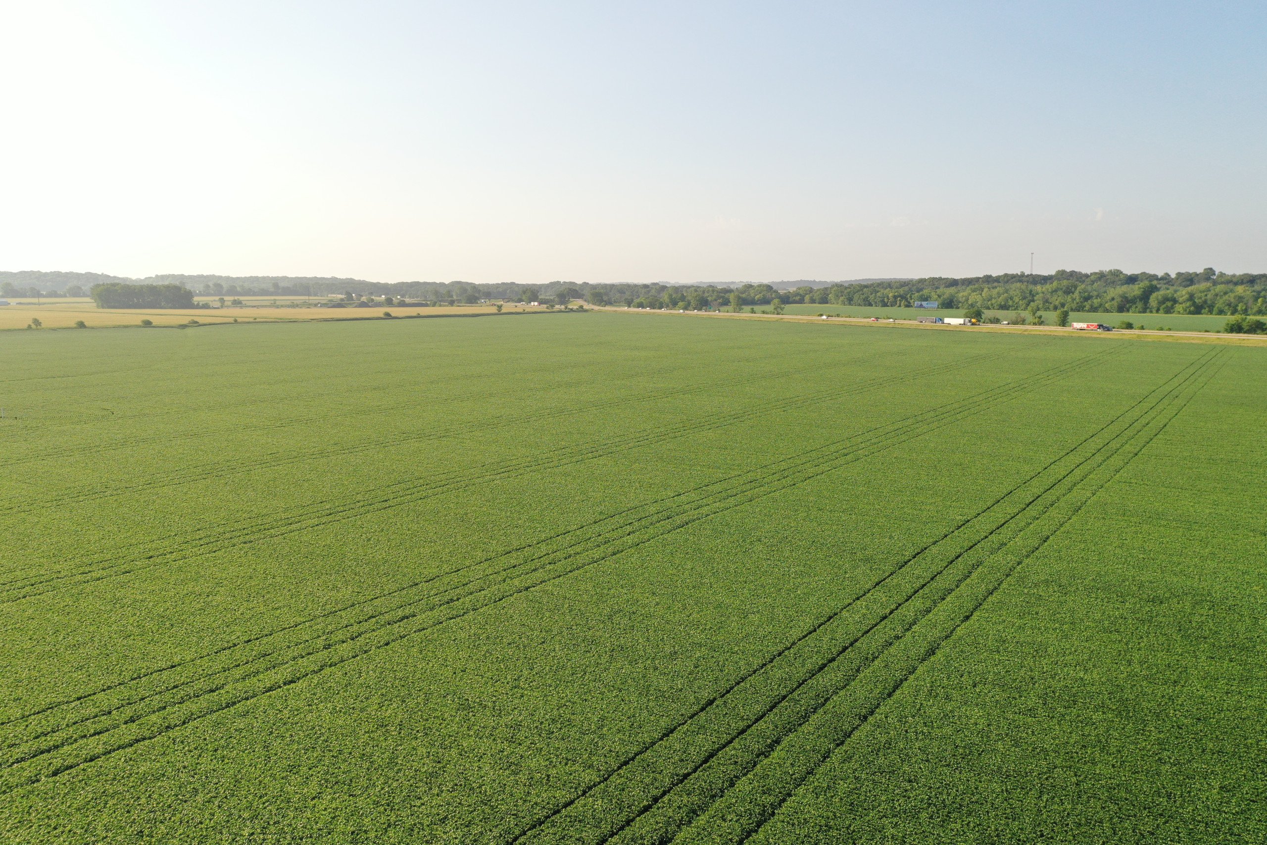 Jasper County, Iowa Farmland Auction