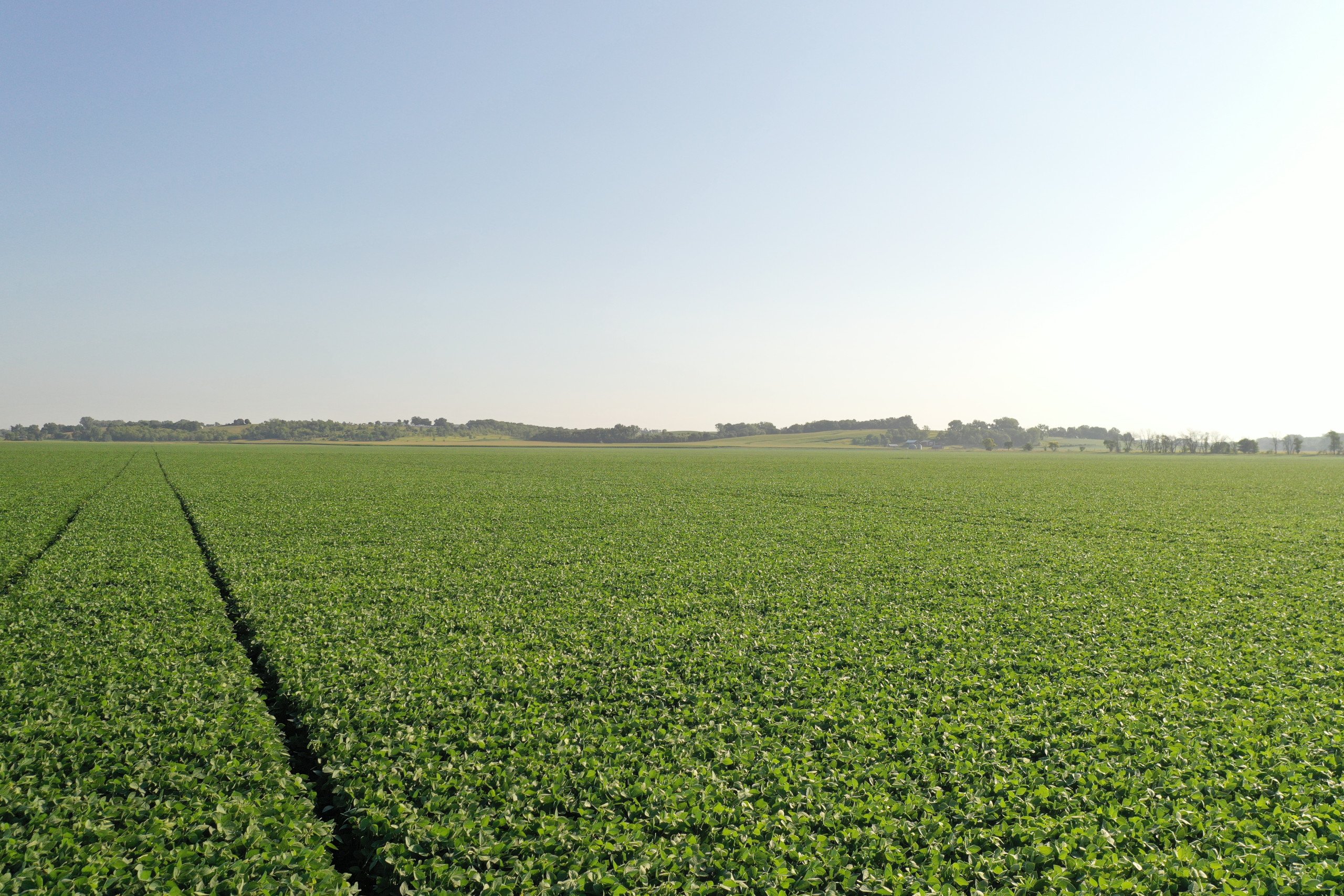 Jasper County, Iowa Farmland Auction