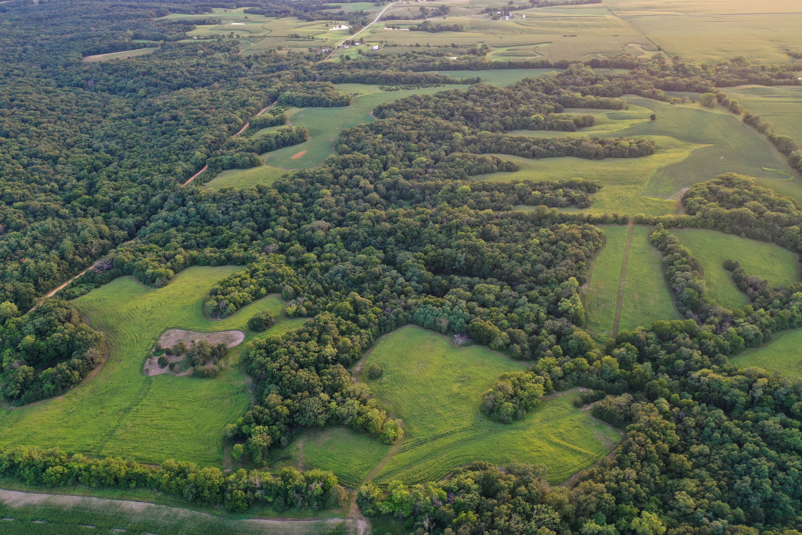 land-van-buren-county-iowa-1306-acres-listing-number-17013-DJI_0028-4.jpg