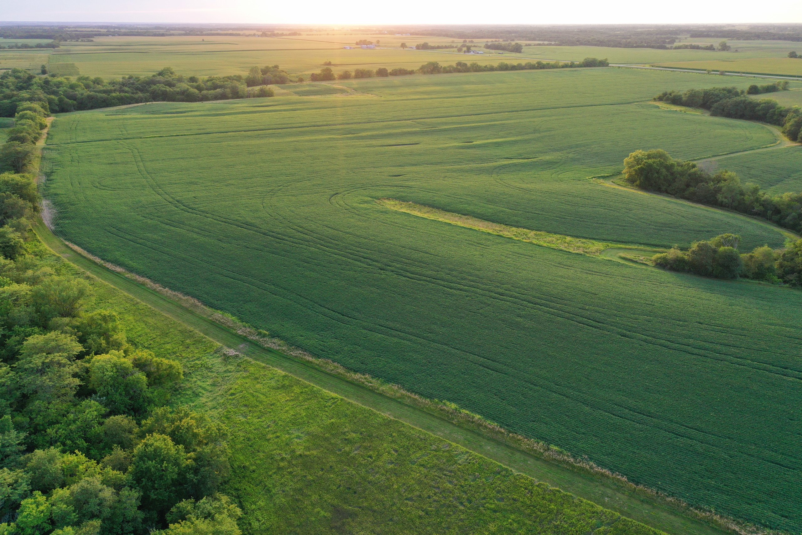 land-van-buren-county-iowa-1306-acres-listing-number-17013-DJI_0034-6.jpg