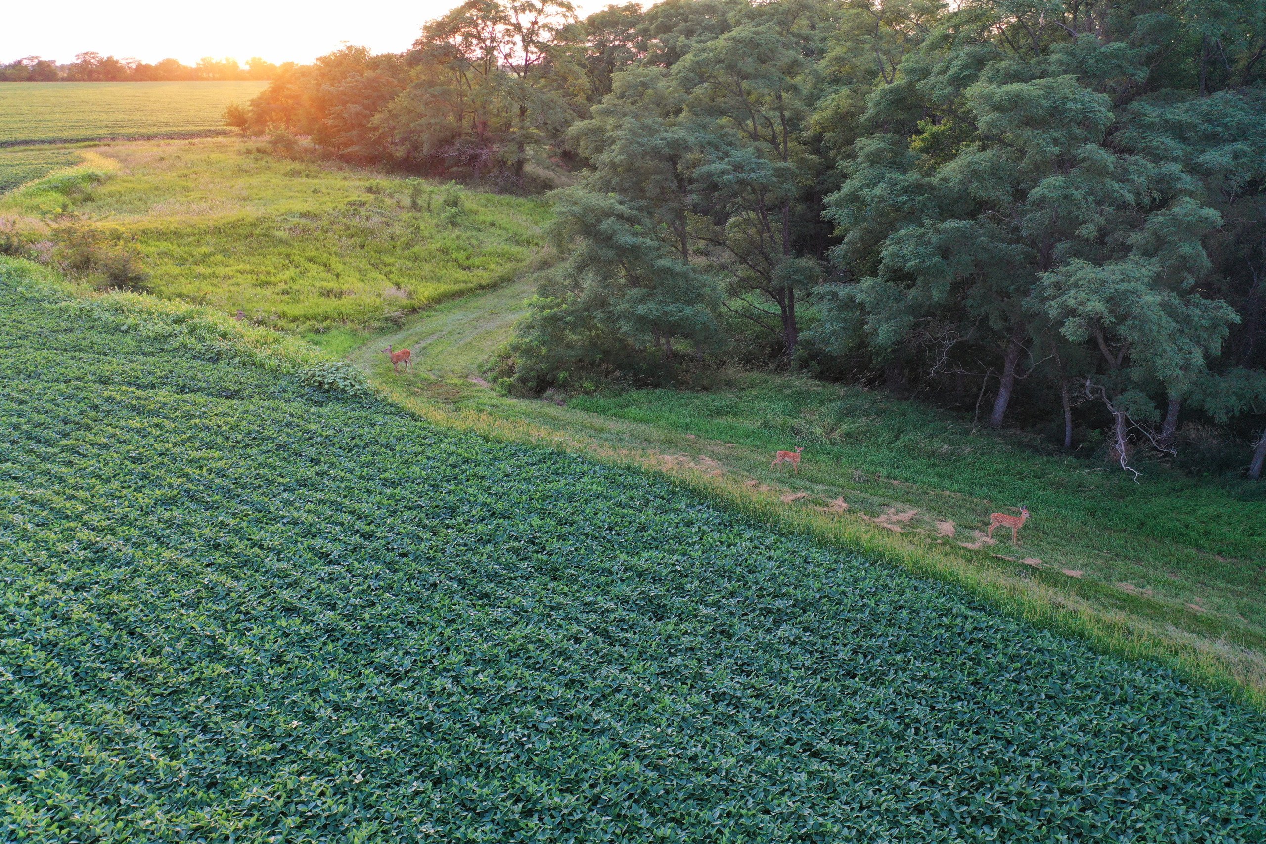 land-van-buren-county-iowa-1306-acres-listing-number-17013-DJI_0051-8.jpg