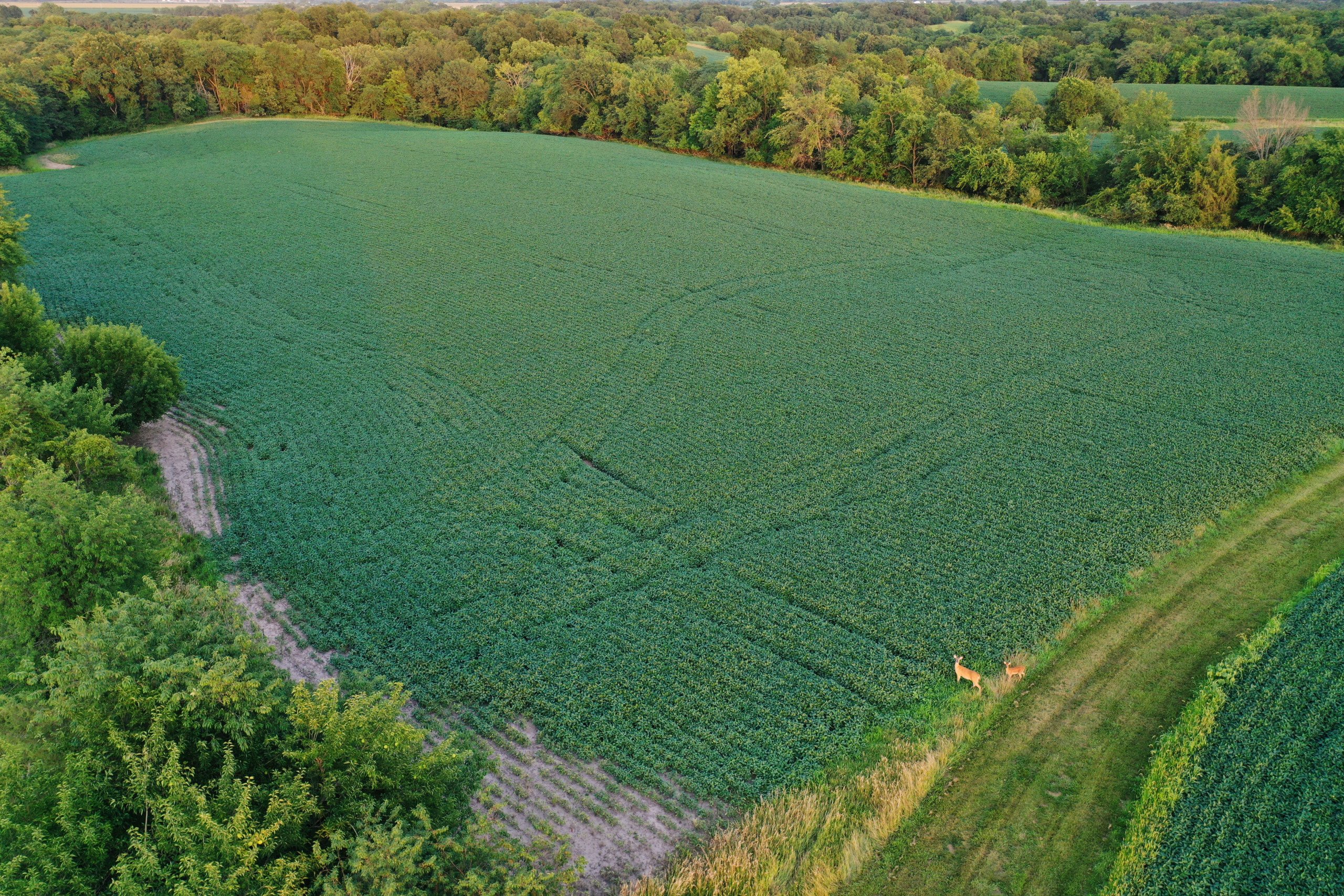 land-van-buren-county-iowa-1306-acres-listing-number-17013-DJI_0052-9.jpg