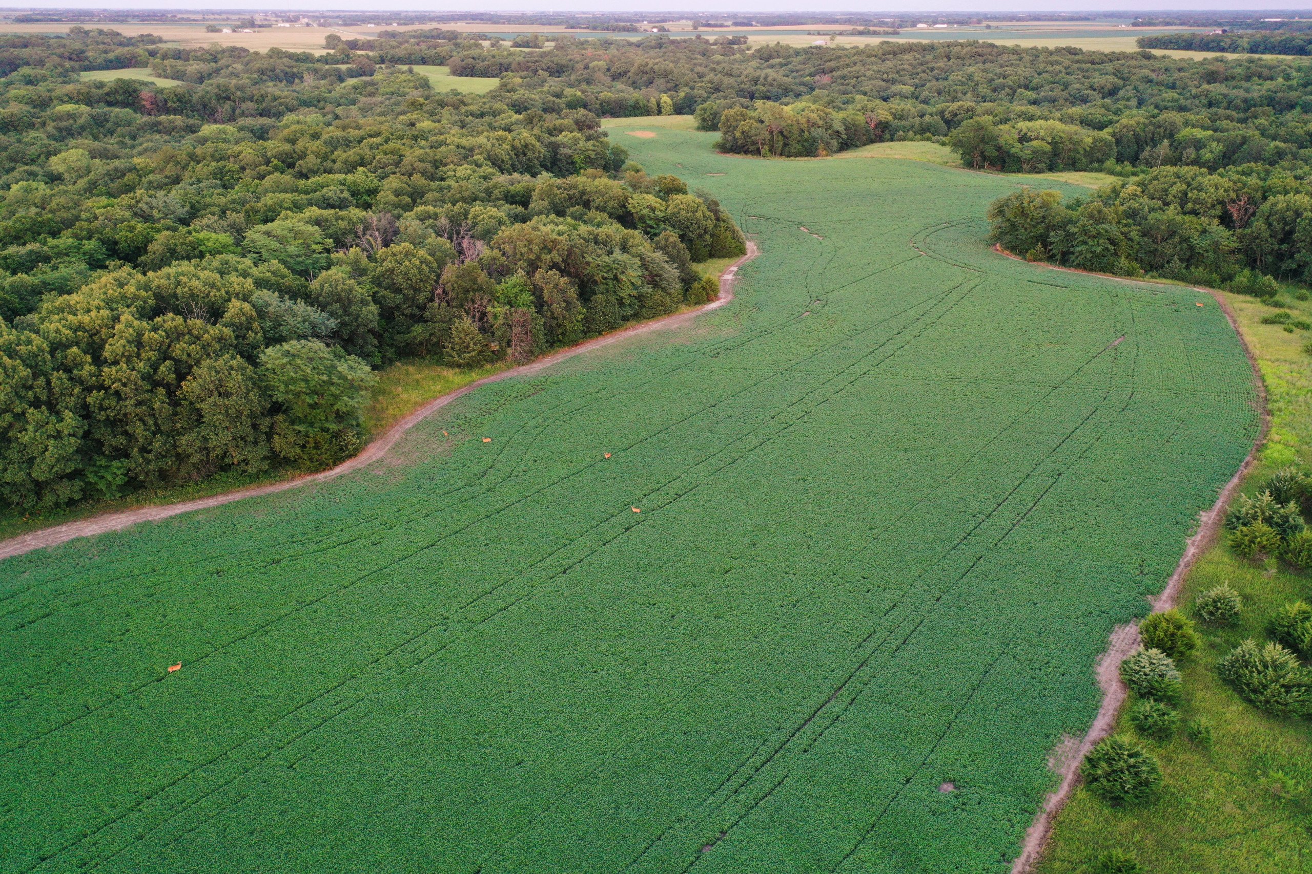 land-van-buren-county-iowa-1306-acres-listing-number-17013-DJI_0094-2.jpg