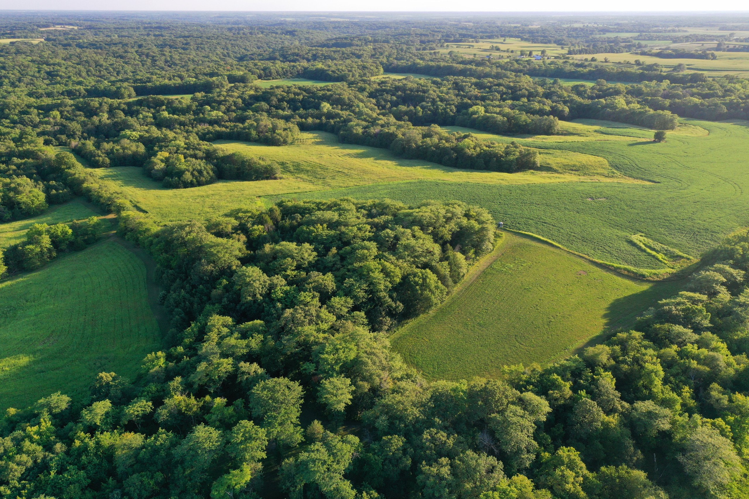 land-van-buren-county-iowa-1306-acres-listing-number-17013-DJI_0991-5.jpg