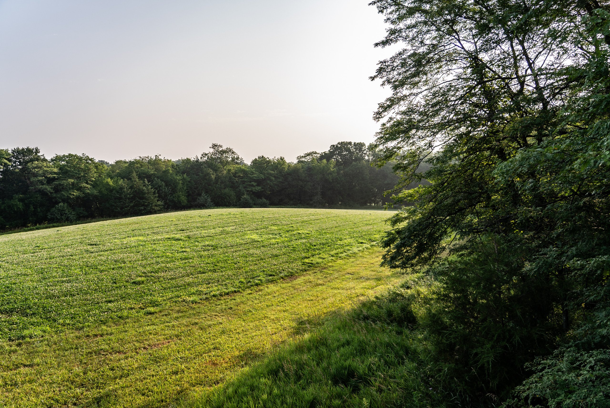 land-van-buren-county-iowa-1306-acres-listing-number-17013-DSC04529-0.jpg