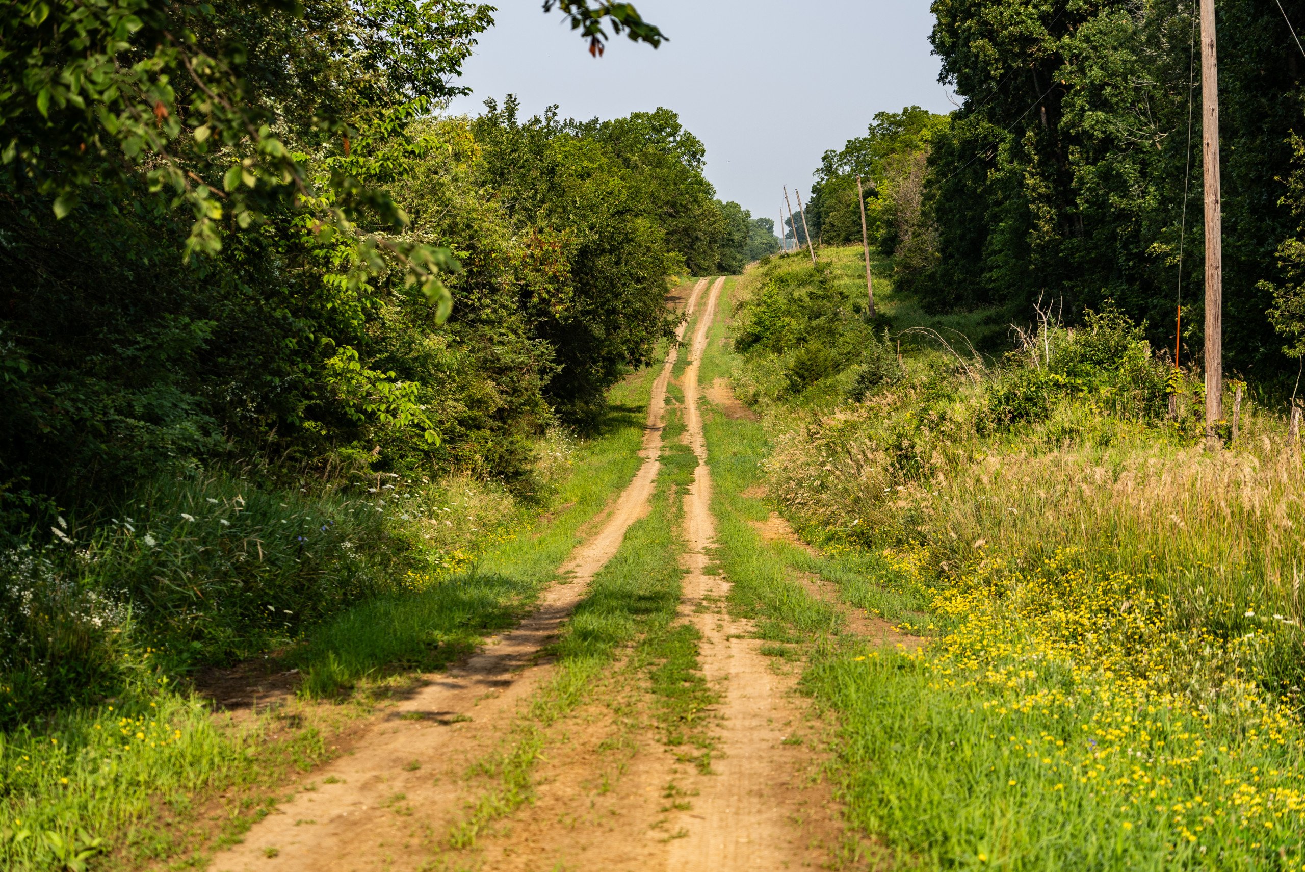 land-van-buren-county-iowa-1306-acres-listing-number-17013-DSC04562-2.jpg