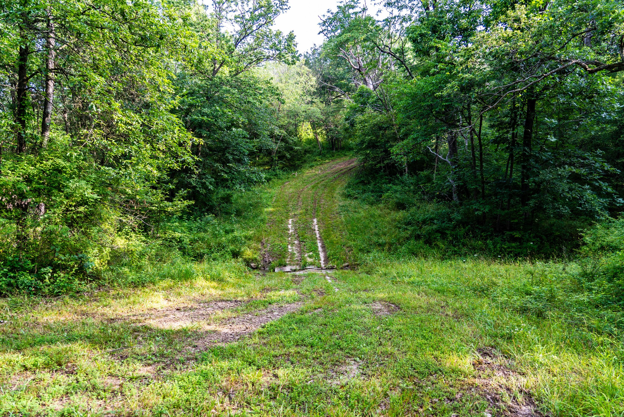 land-van-buren-county-iowa-1306-acres-listing-number-17013-DSC04599-4.jpg