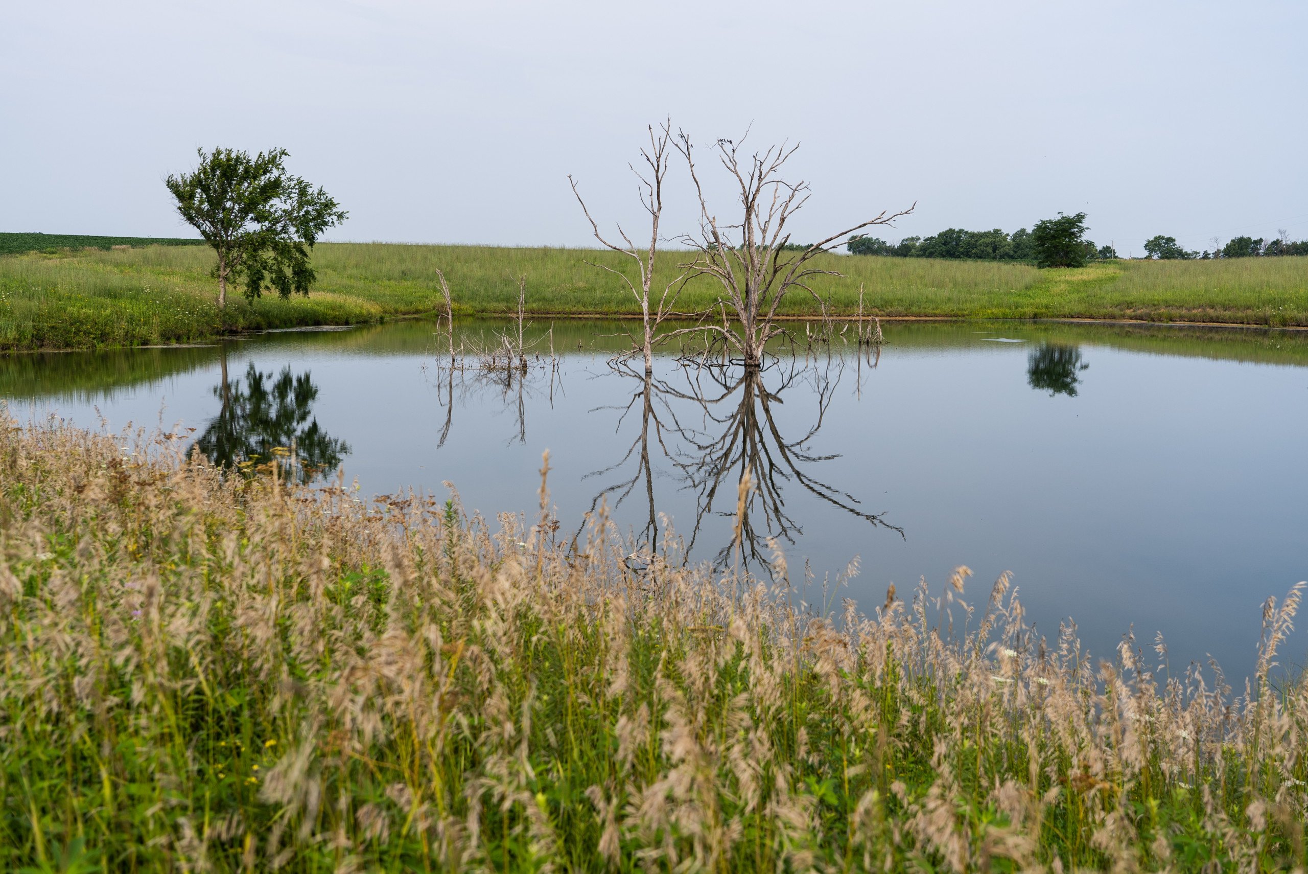 land-van-buren-county-iowa-1306-acres-listing-number-17013-DSC04617-1.jpg