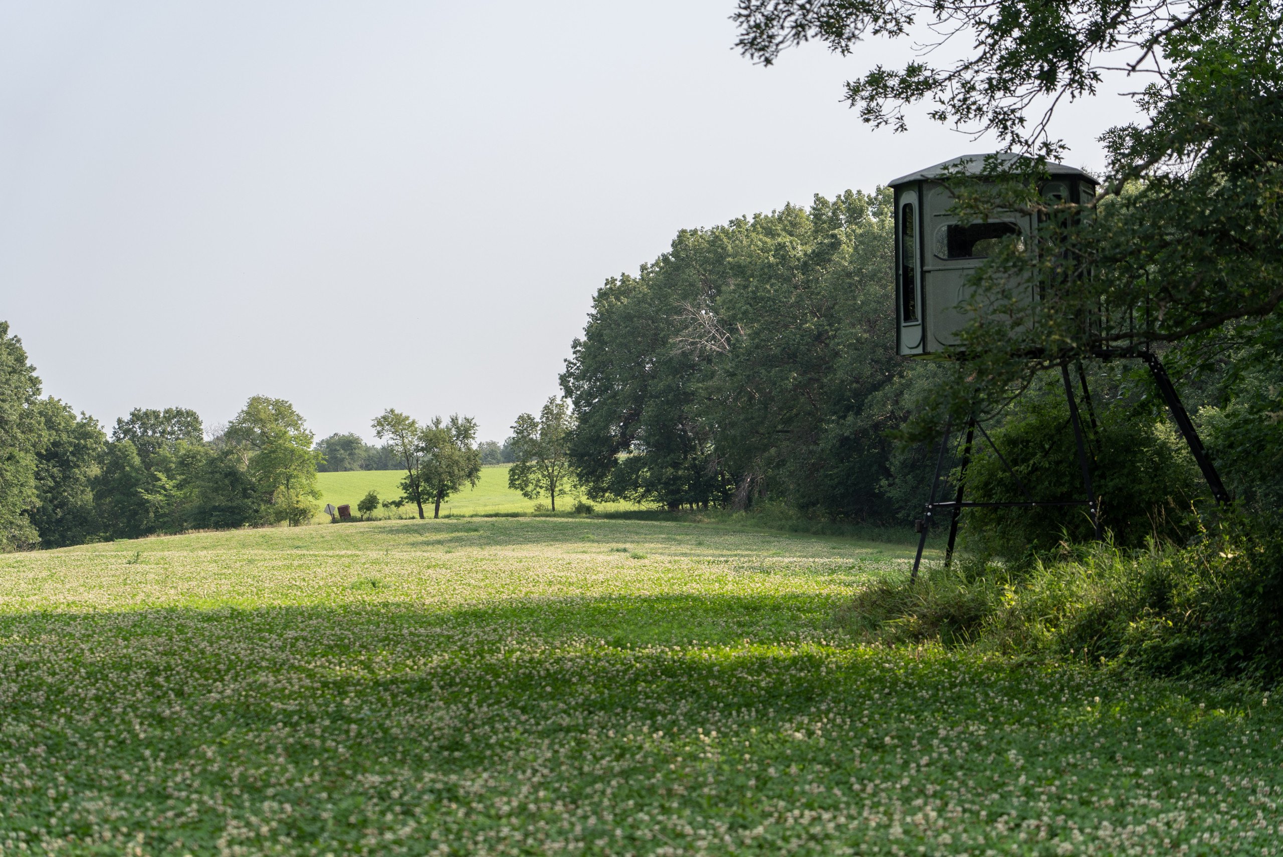 land-van-buren-county-iowa-1306-acres-listing-number-17013-DSC04628-4.jpg