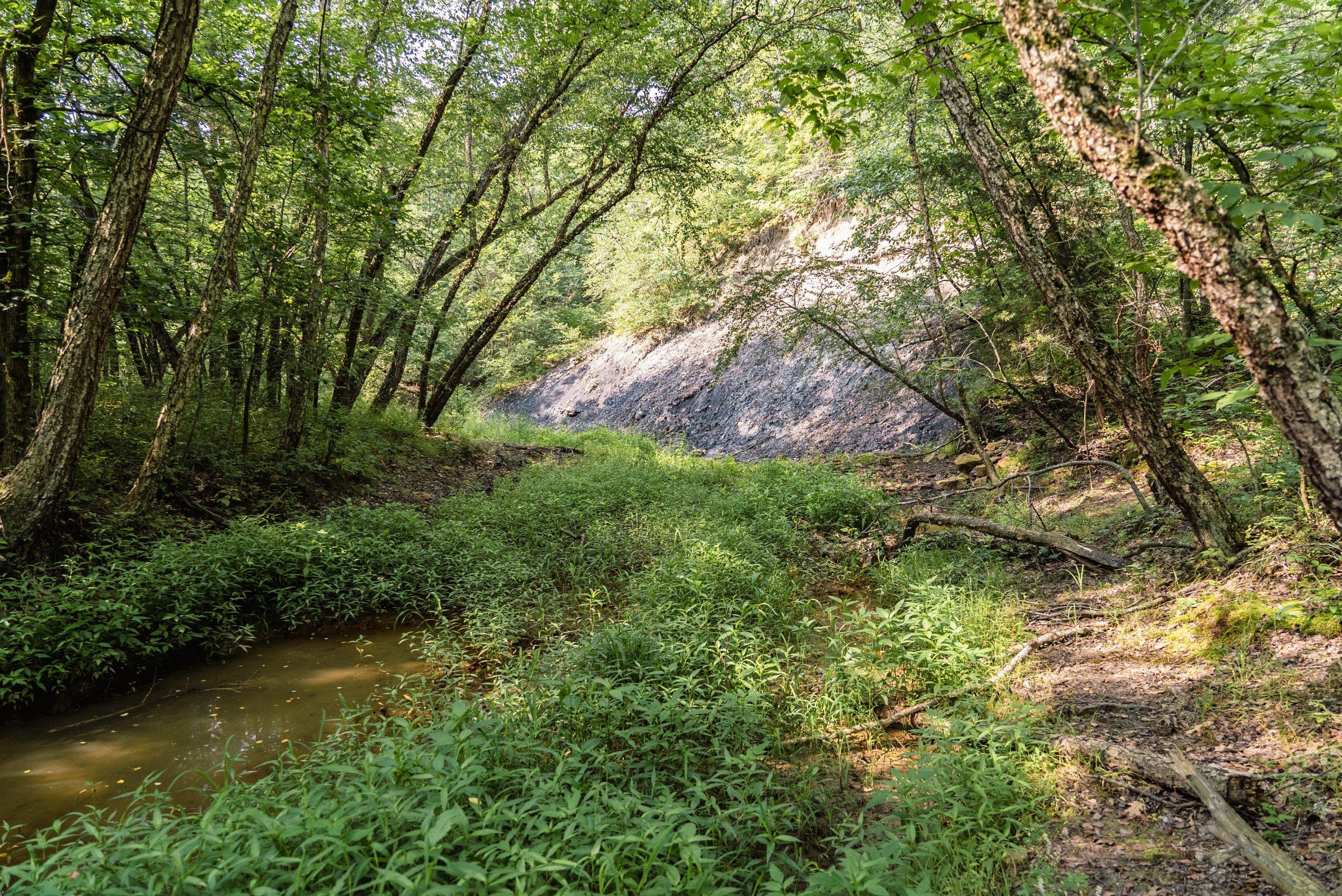 land-van-buren-county-iowa-1306-acres-listing-number-17013-DSC04648-1.jpg